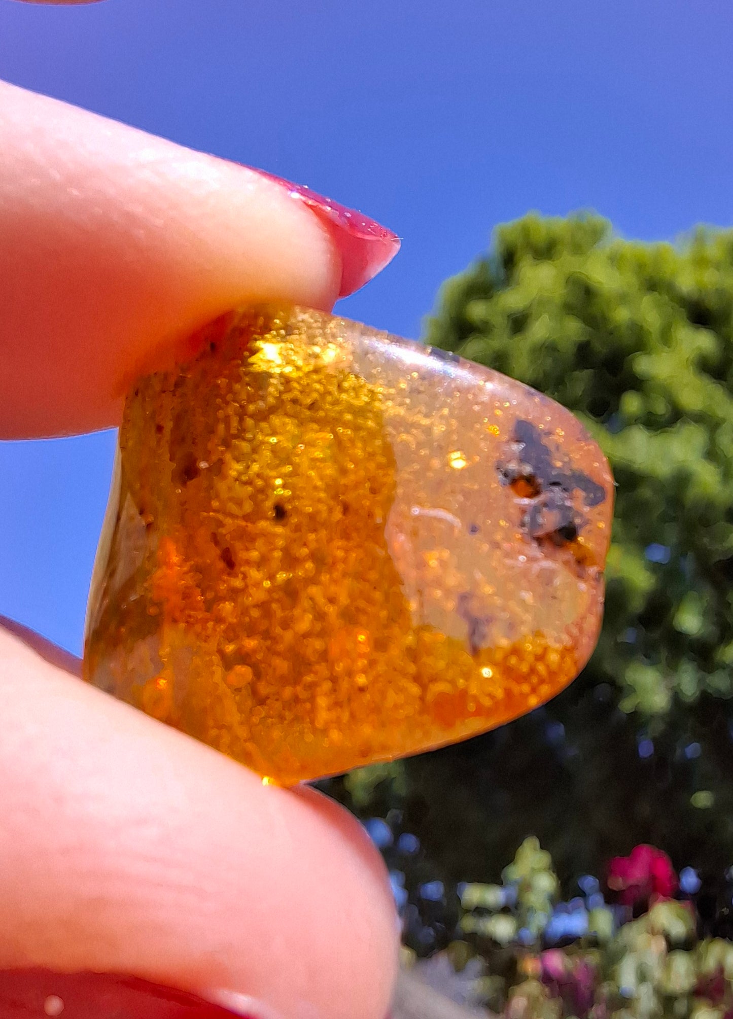 Baltic Amber, 1.59g, Fossil (Ref: A244)