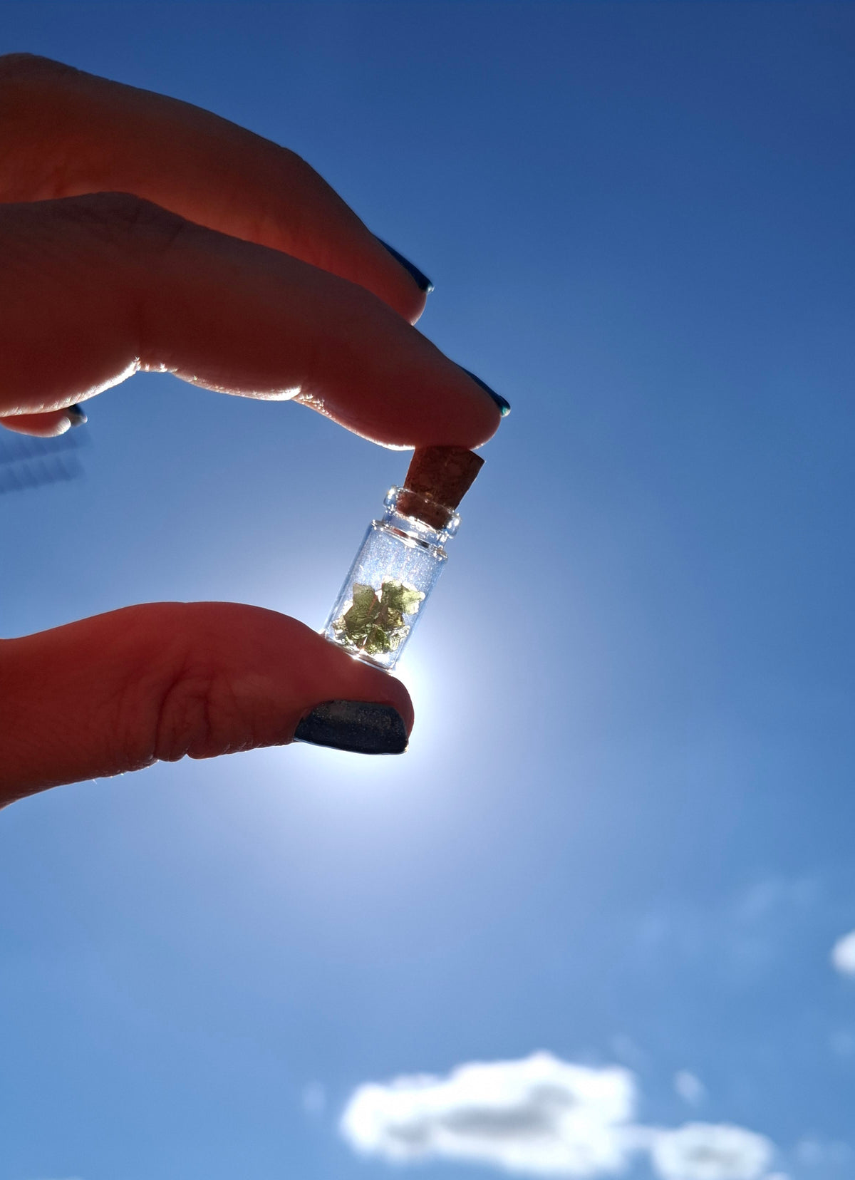 Moldavite Chips (0.50g) in 1ml Bottle, Tektite (Ref: B24)