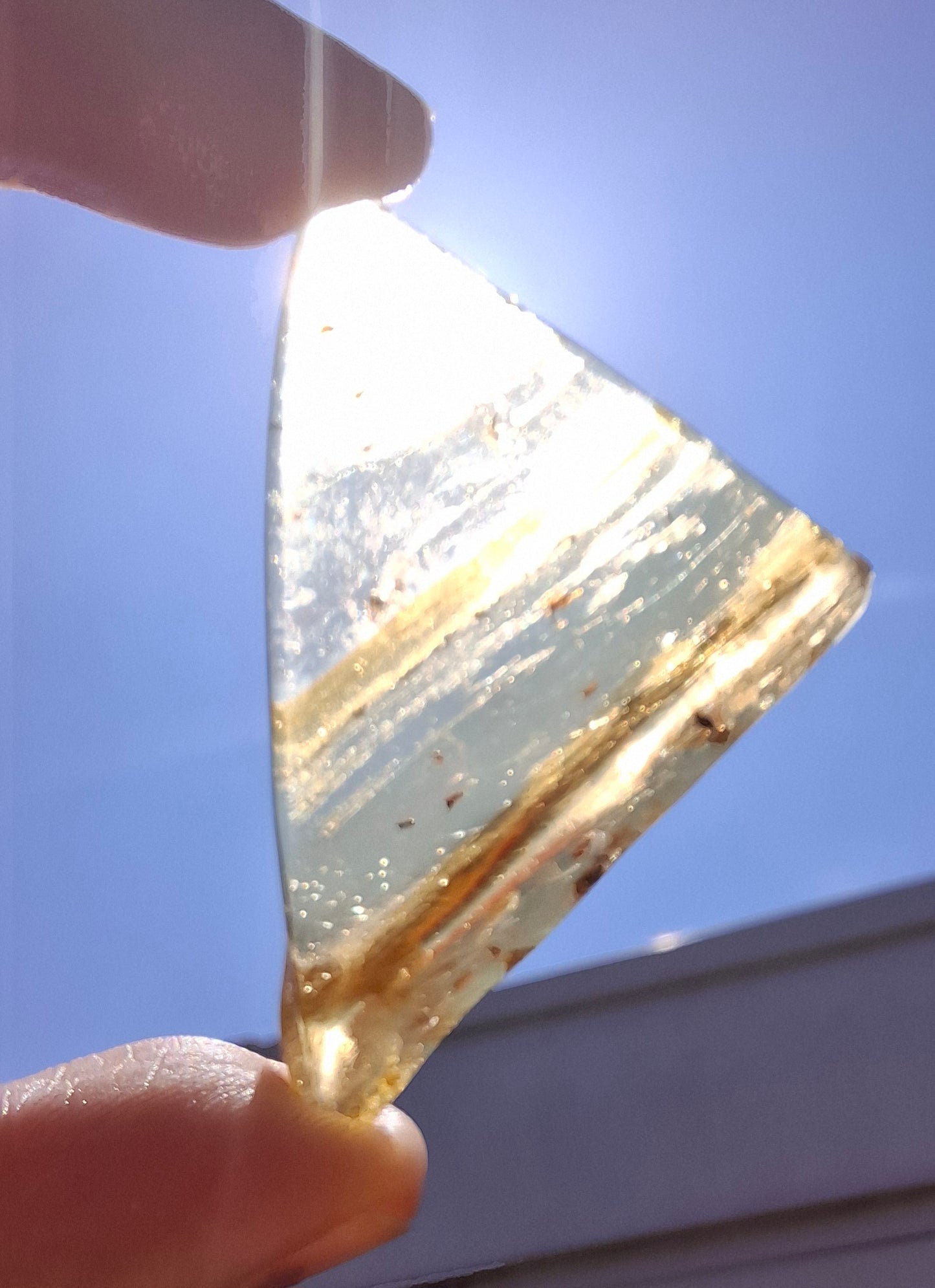 Copal Young Amber with INSECTS inside, 8.39g, Fossil (Ref: CA31)