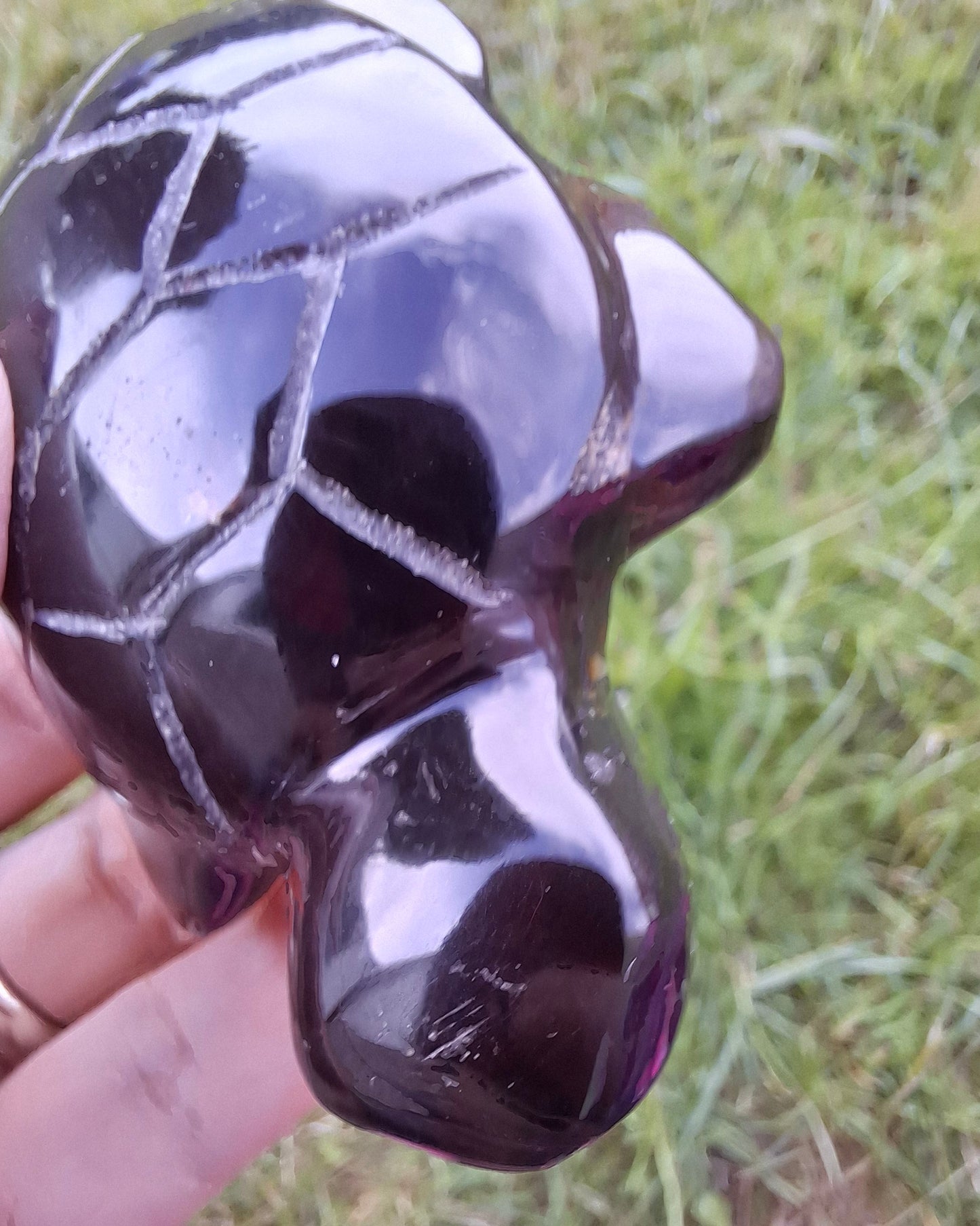Red Amber Turtle, 47.85g, Carving, Fossil (Ref: TT4)