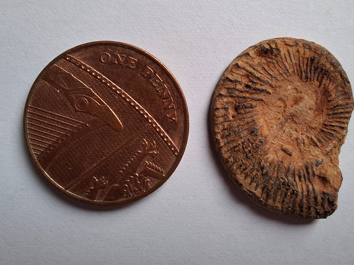 Small Haematite Ammonite HALF, 1.78g, Fossil (Ref: MA4)