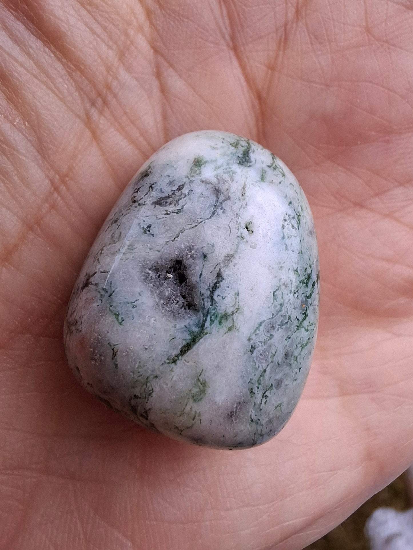 Tree Agate, Tumble Stone, Crystal (Ref: T7)