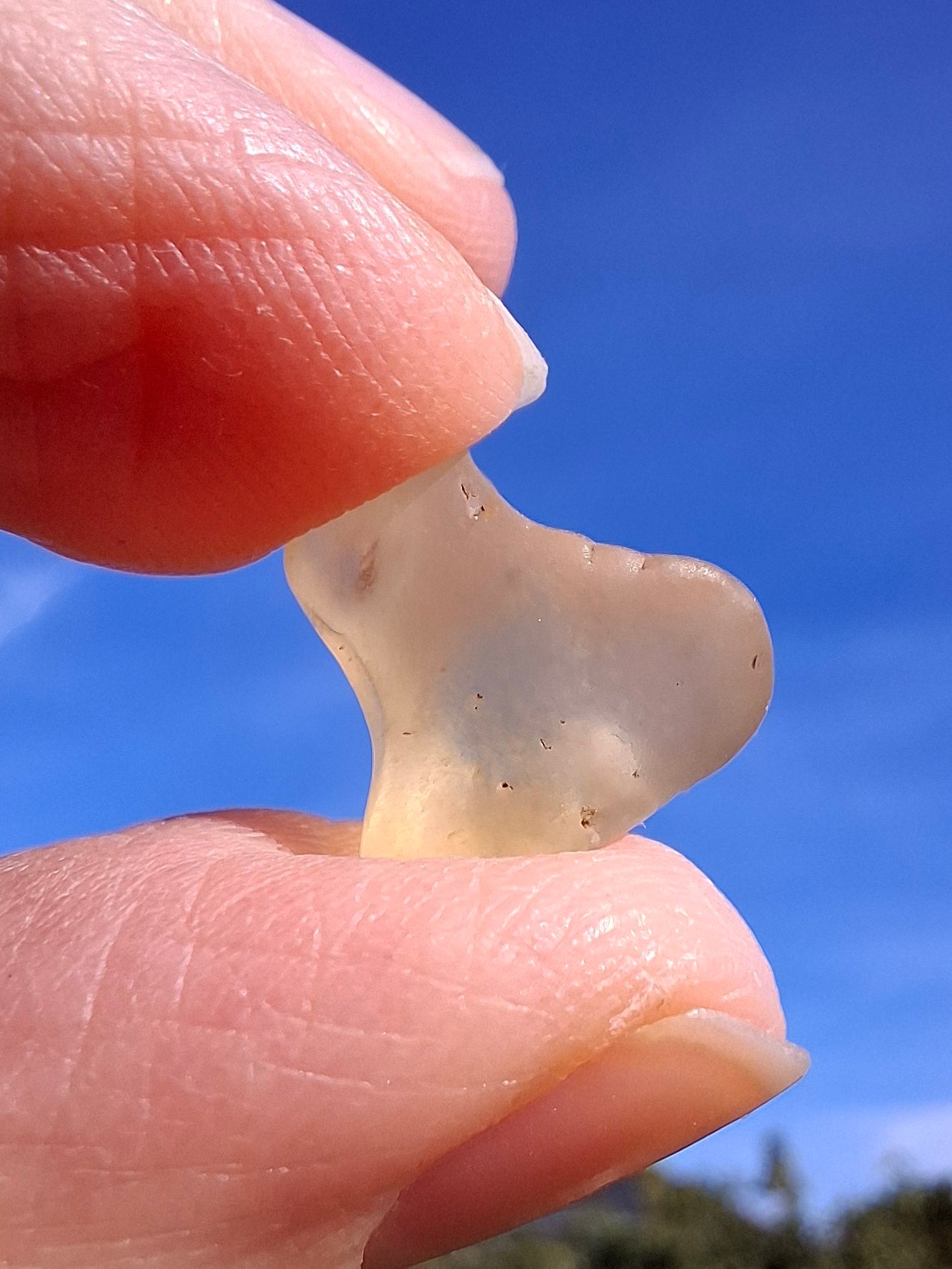 Libyan Desert Glass small Piece, 1.53g, Tektite (Ref: L1346)