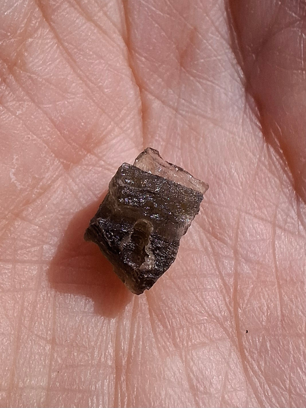 Moldavite Piece, 0.50g, Tektite (Ref: 1395)