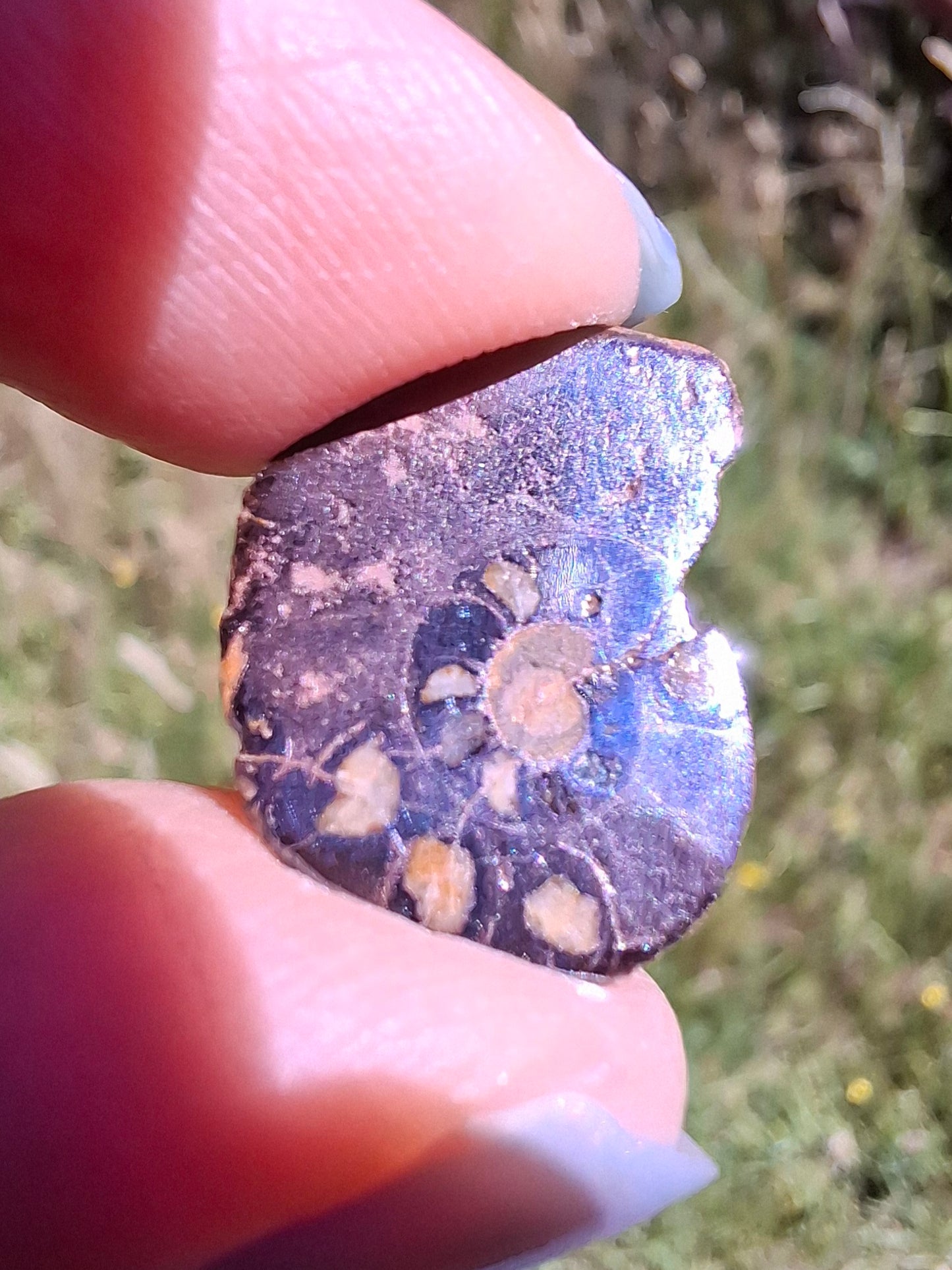 Small Haematite Ammonite HALF, 1.41g, Fossil (Ref: MA6)
