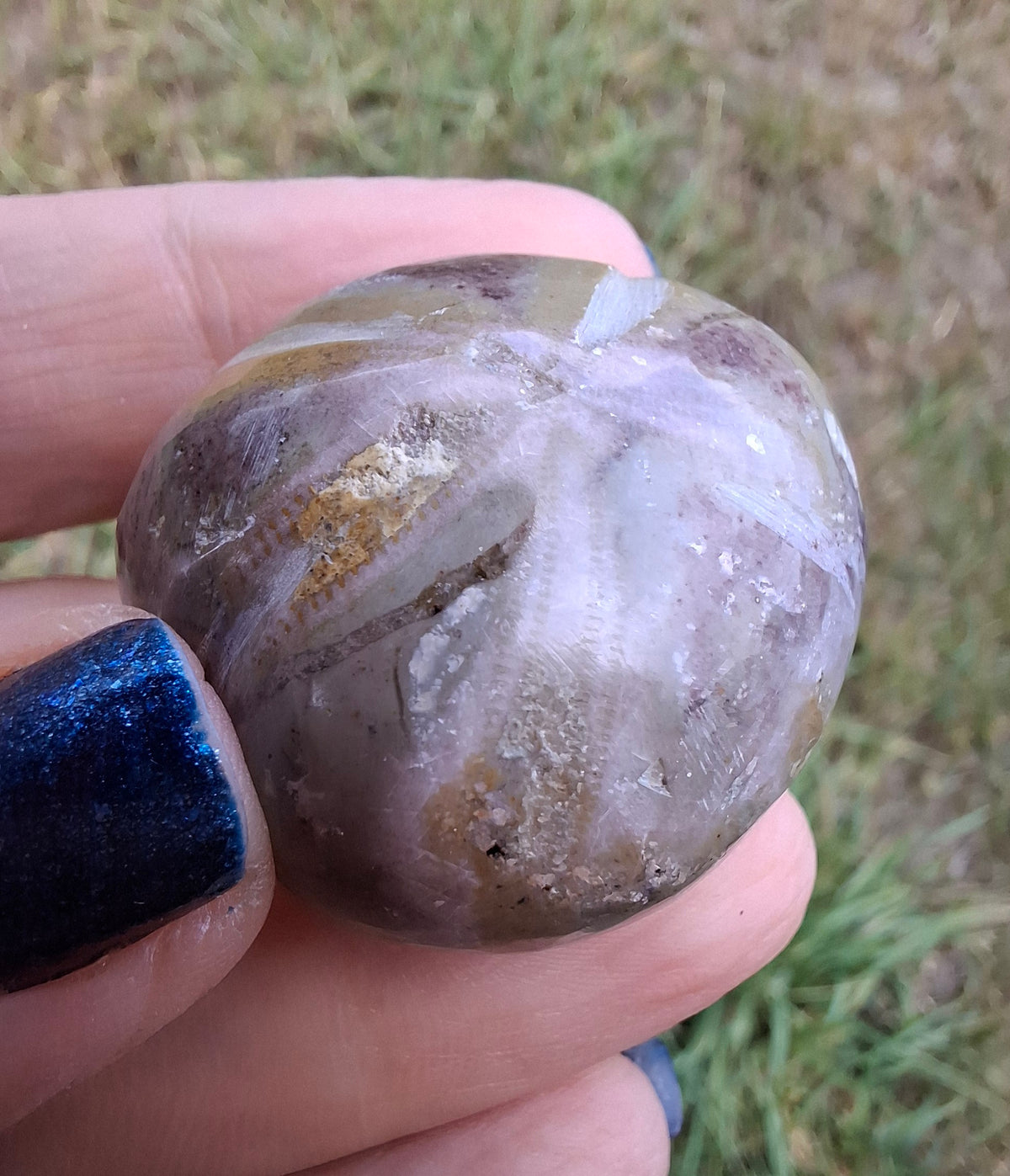Polished Sea Urchin, Fossil (Ref: SU6)