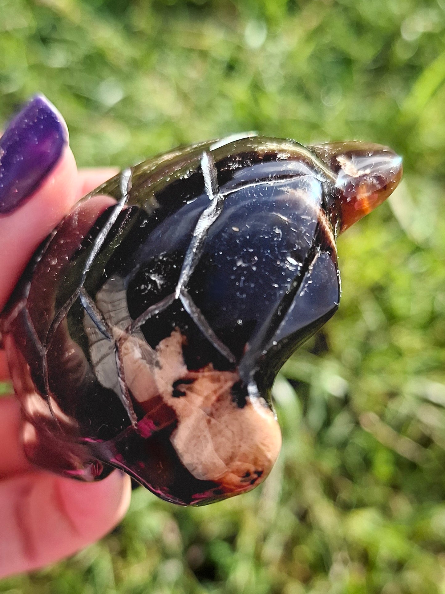 Red Amber Turtle, 56.87g, Carving, Fossil (Ref: TT2)