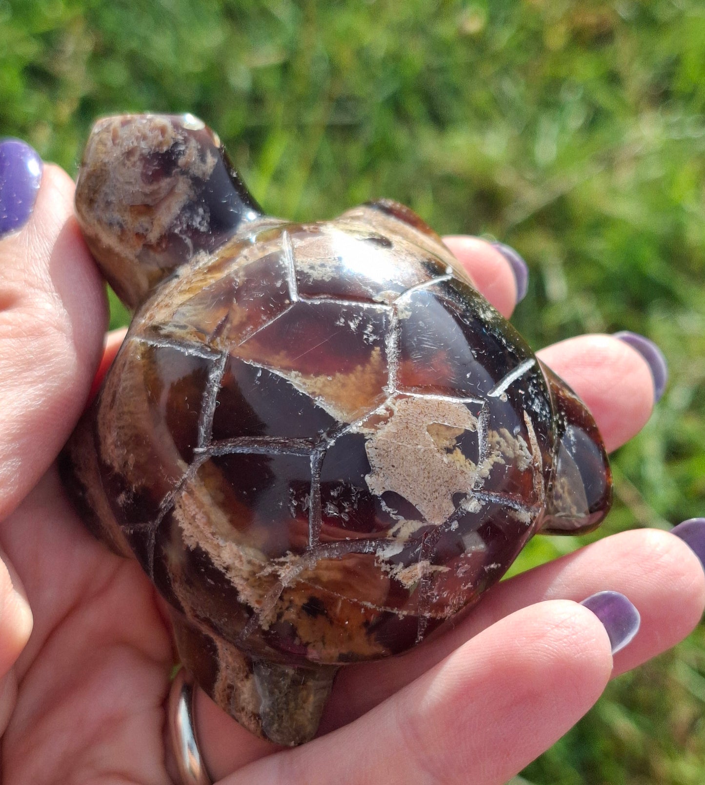 Red Amber Turtle, 56.87g, Carving, Fossil (Ref:TT7)