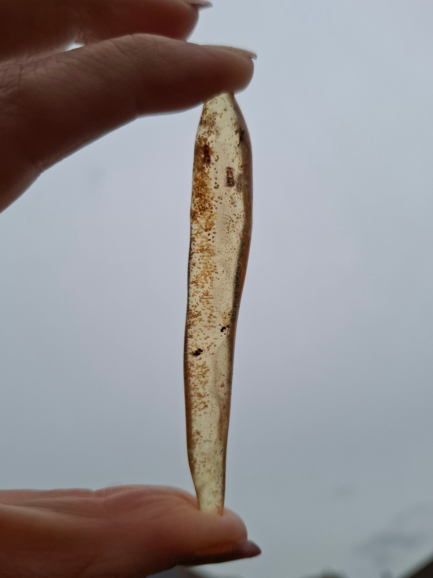 Copal Young Amber with INSECTS inside, 5.46g, Fossil (Ref: CA36)