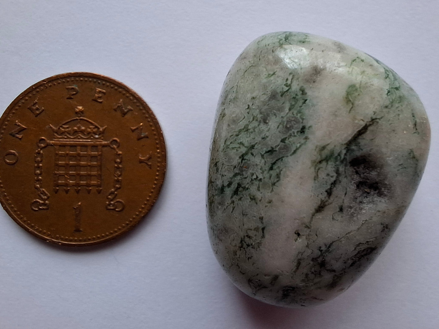 Tree Agate, Tumble Stone, Crystal (Ref: T7)