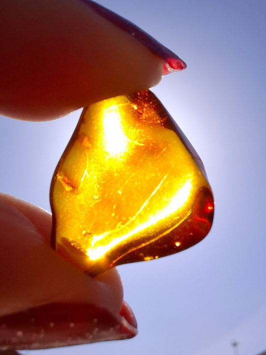Baltic Amber, 0.88g, Fossil (Ref: A254)