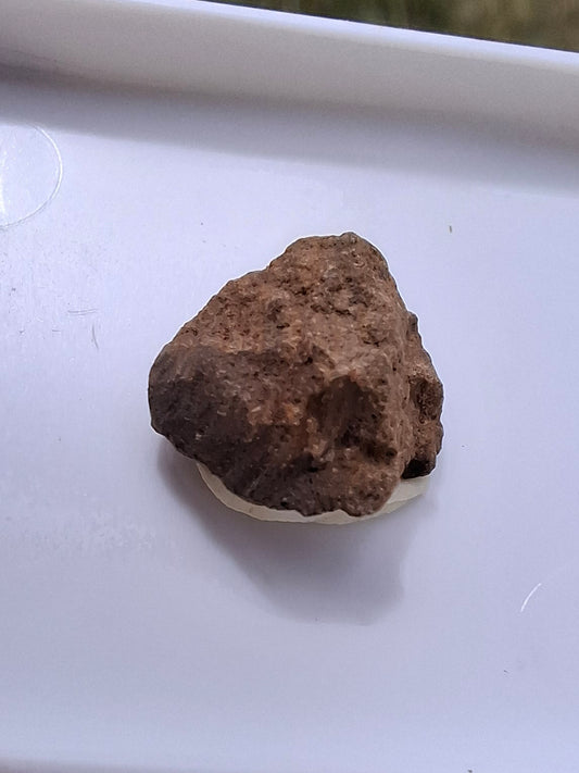 Chondrite, Meteorite (Ref: CM9)