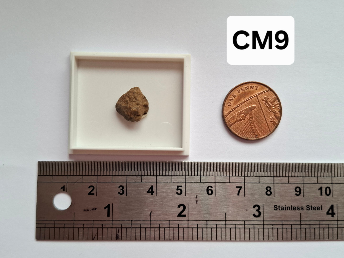 Chondrite, Meteorite (Ref: CM9)