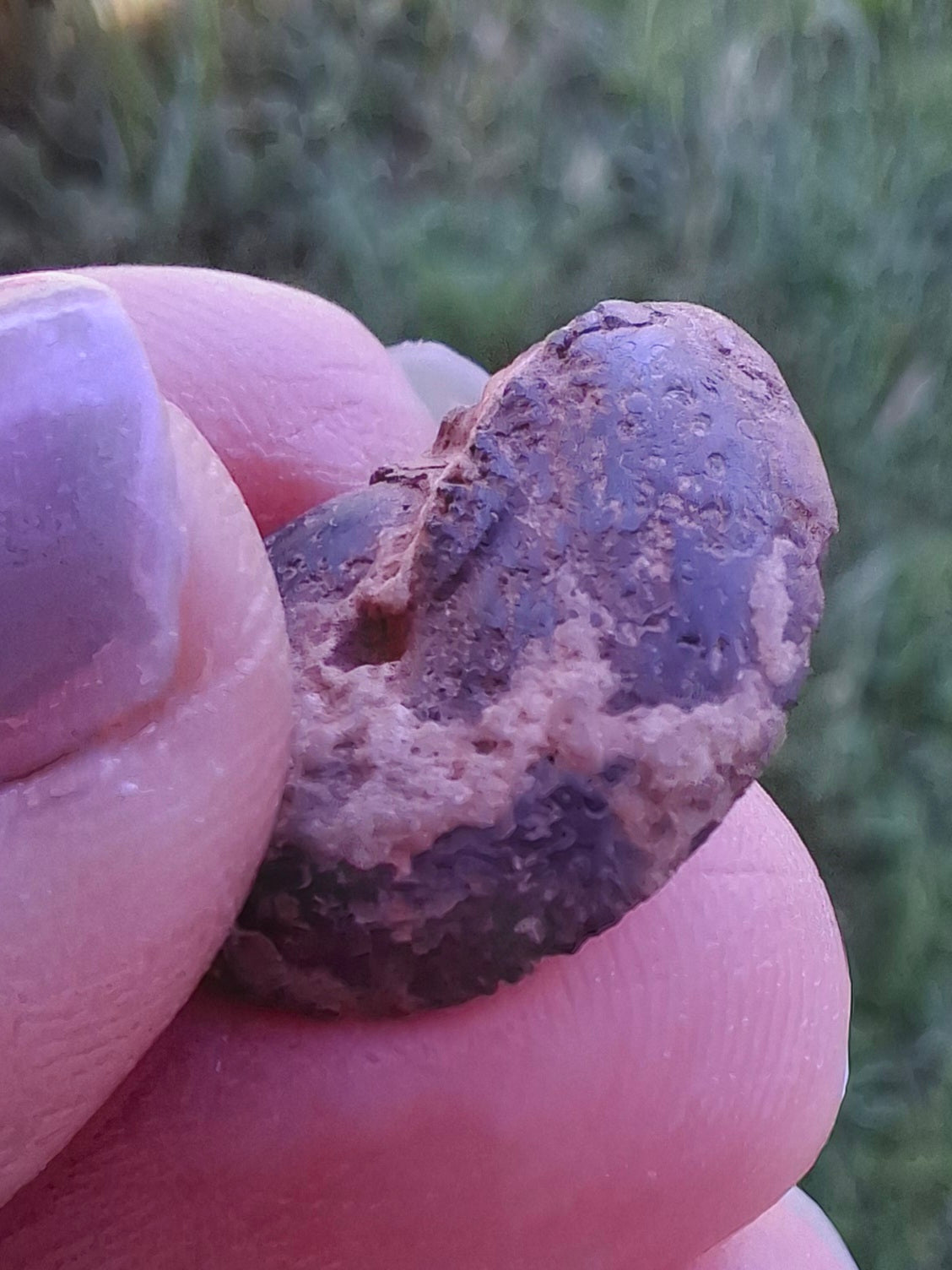 Small Haematite Ammonite HALF, 1.36g, Fossil (Ref: MA12)
