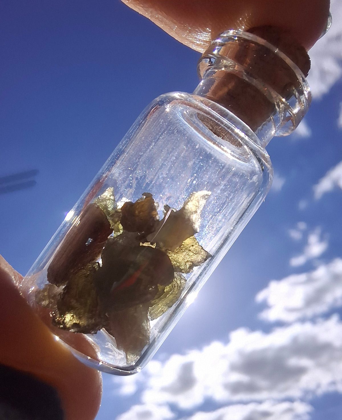 Moldavite Chips (2.00g) in 3ml Bottle, Tektite (Ref: B43)