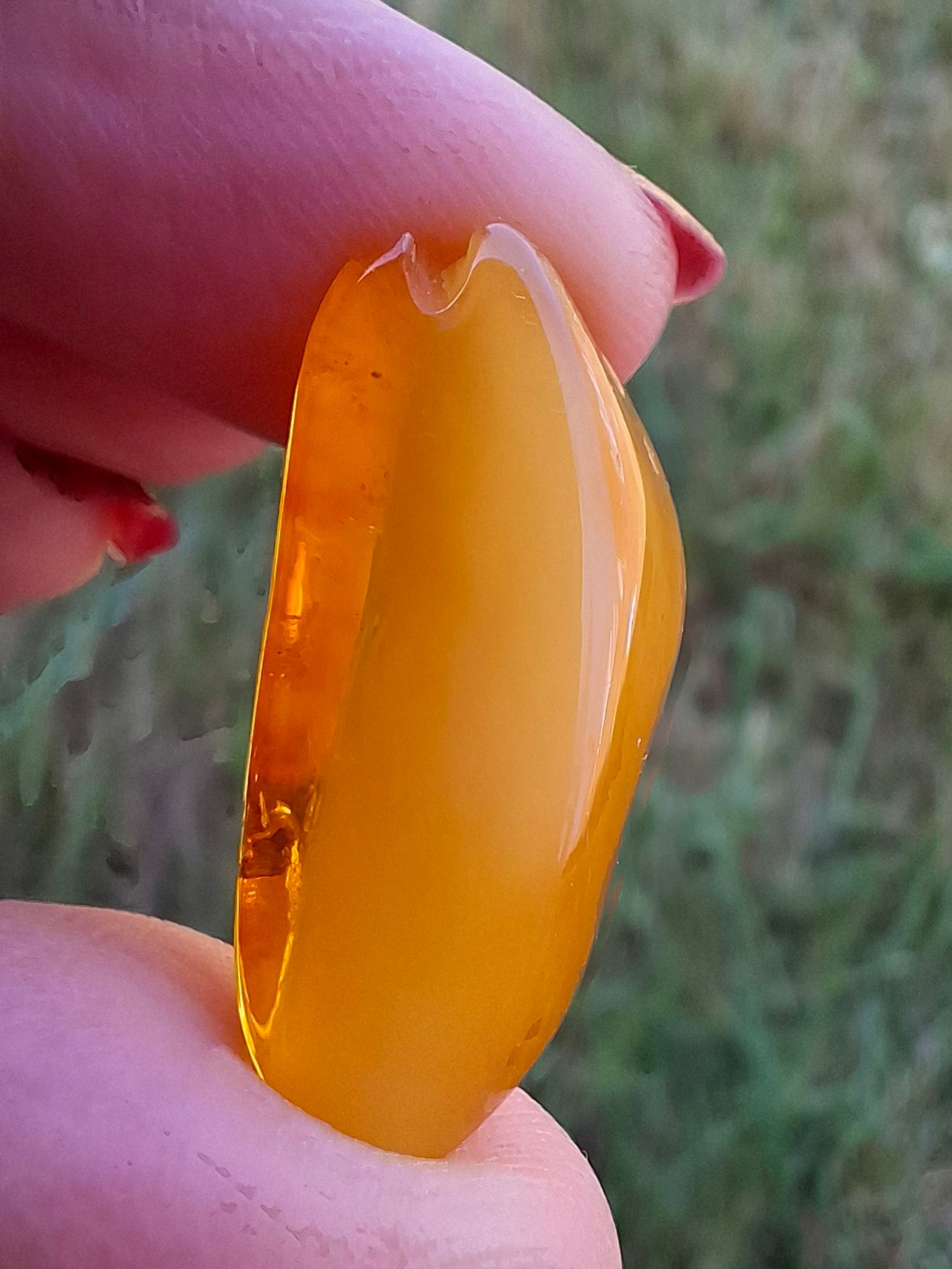 Baltic Amber, 1.74g, Fossil (Ref: A228)