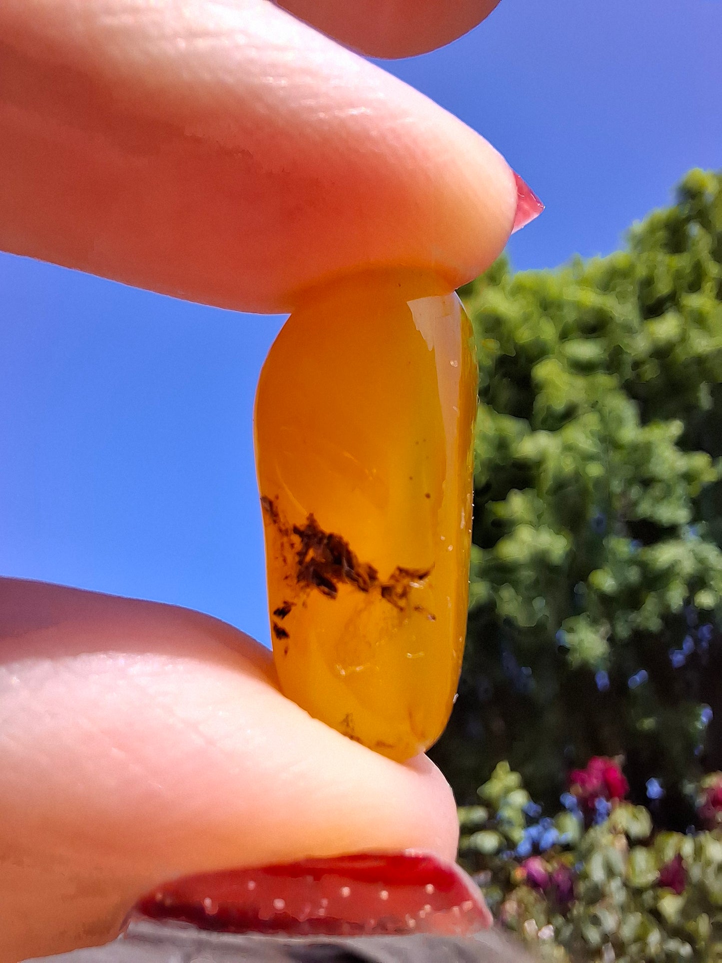 Baltic Amber, 1.74g, Fossil (Ref: A228)