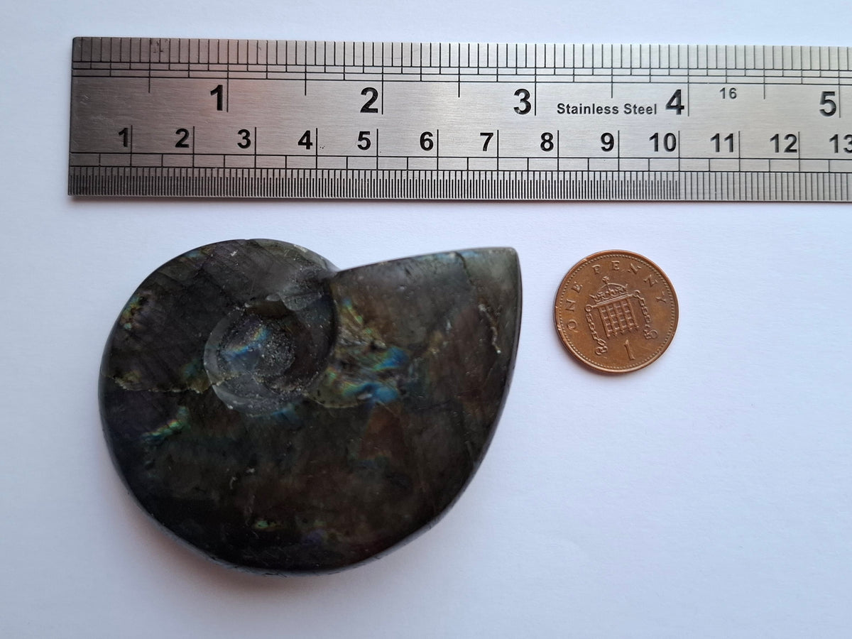 Labradorite Ammonite Carving, 89.31g, Crystal (Ref: laba6)