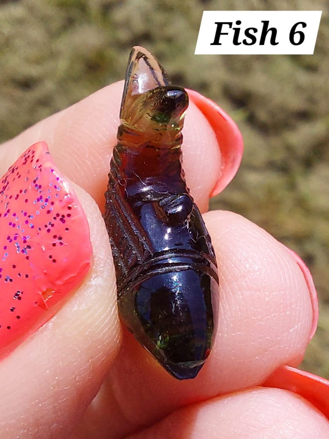 Moldavite FISH carving, 1.62g, Tektite (Ref: Fish6)