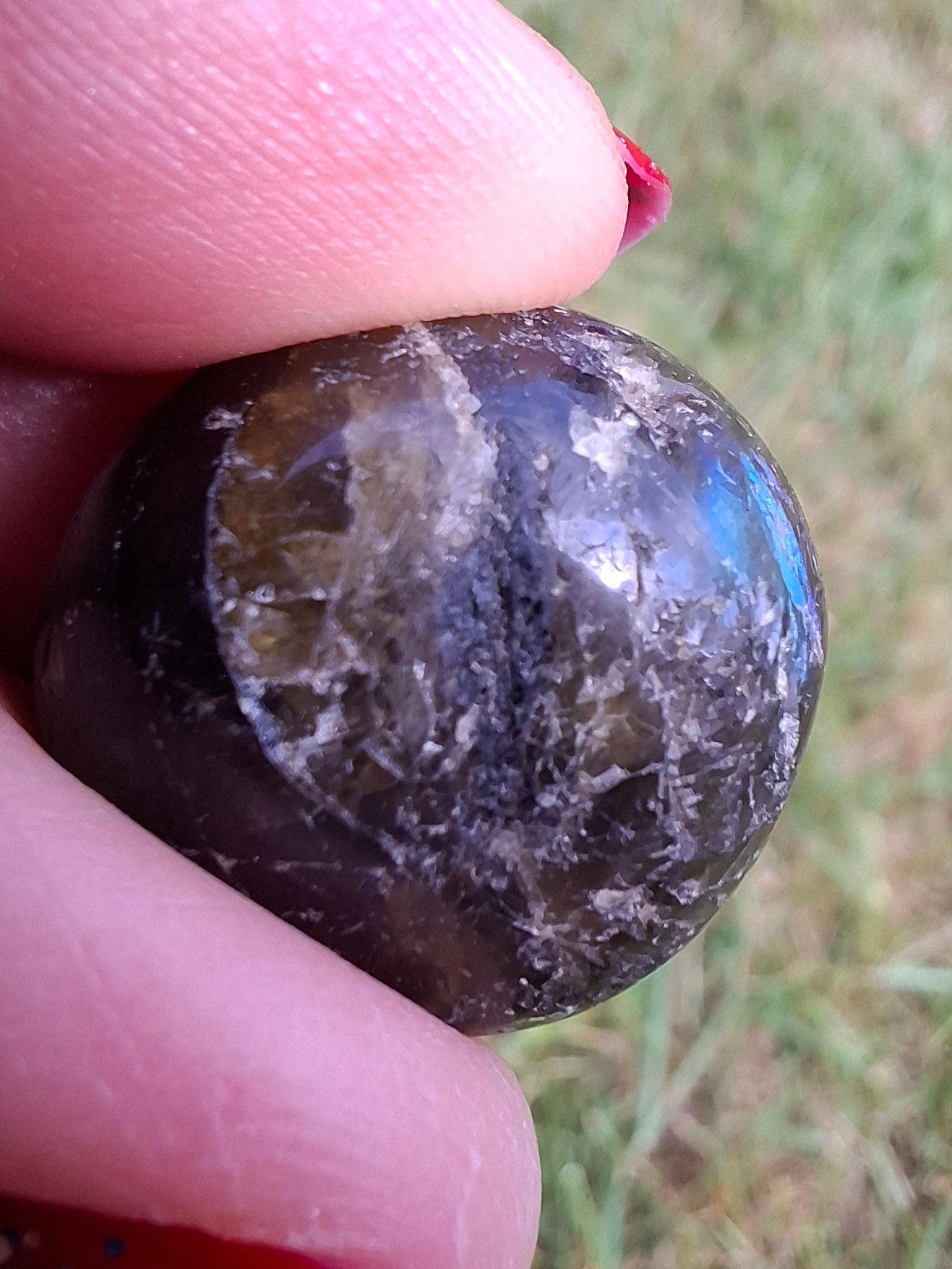 Labradorite, Tumble Stone, Crystal (Ref: T206)