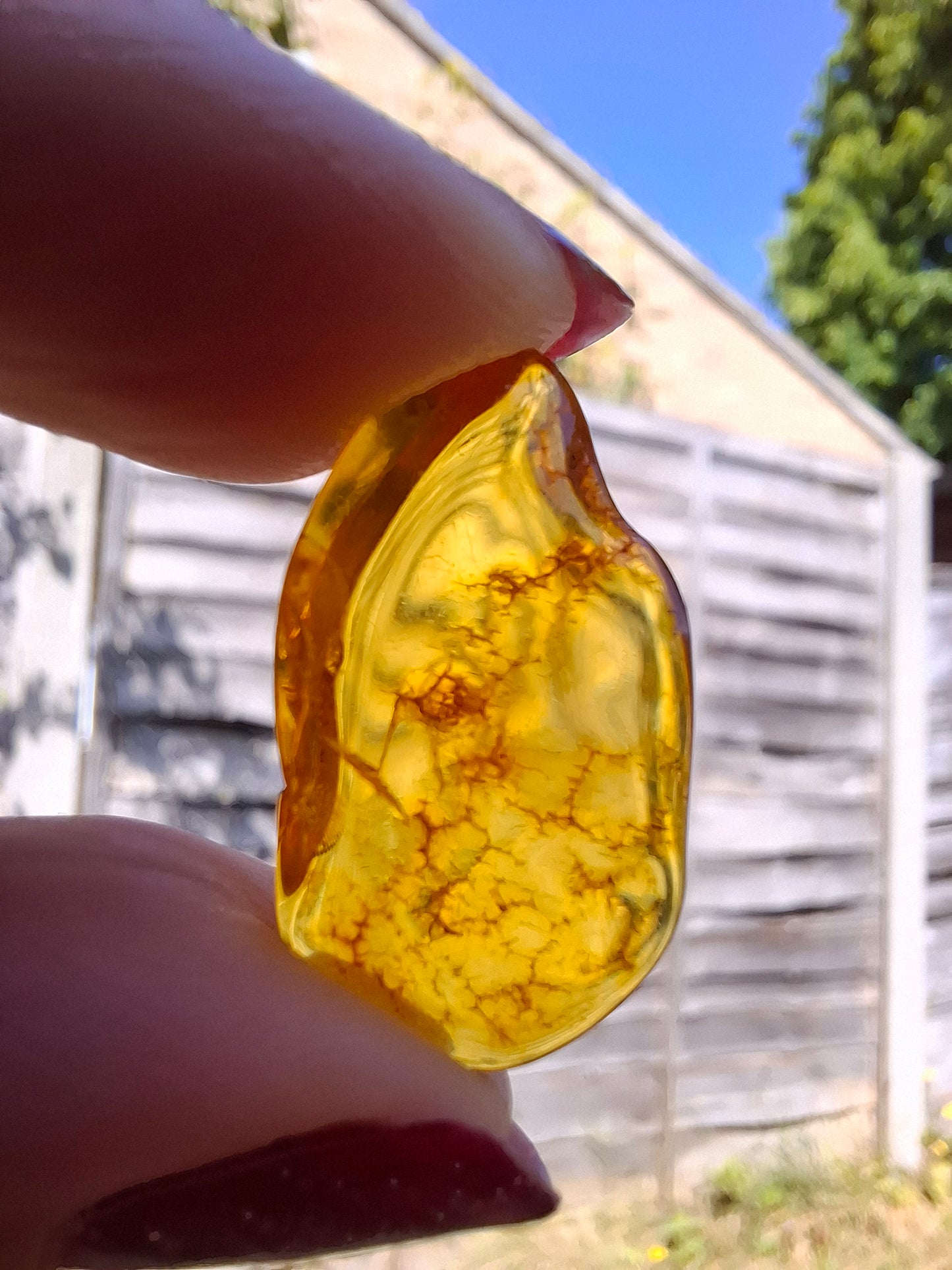 Baltic Amber, 1.16g, Fossil (Ref: A126)