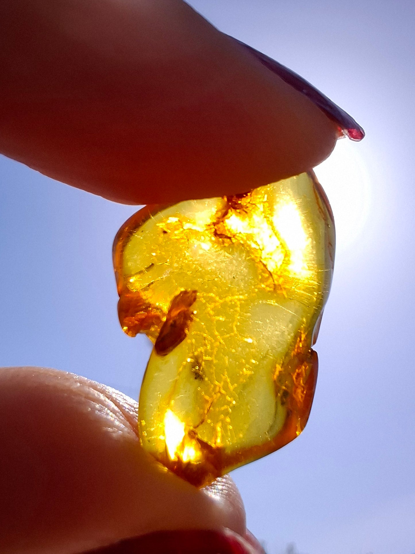 Baltic Amber, 1.31g, Fossil (Ref: A234)