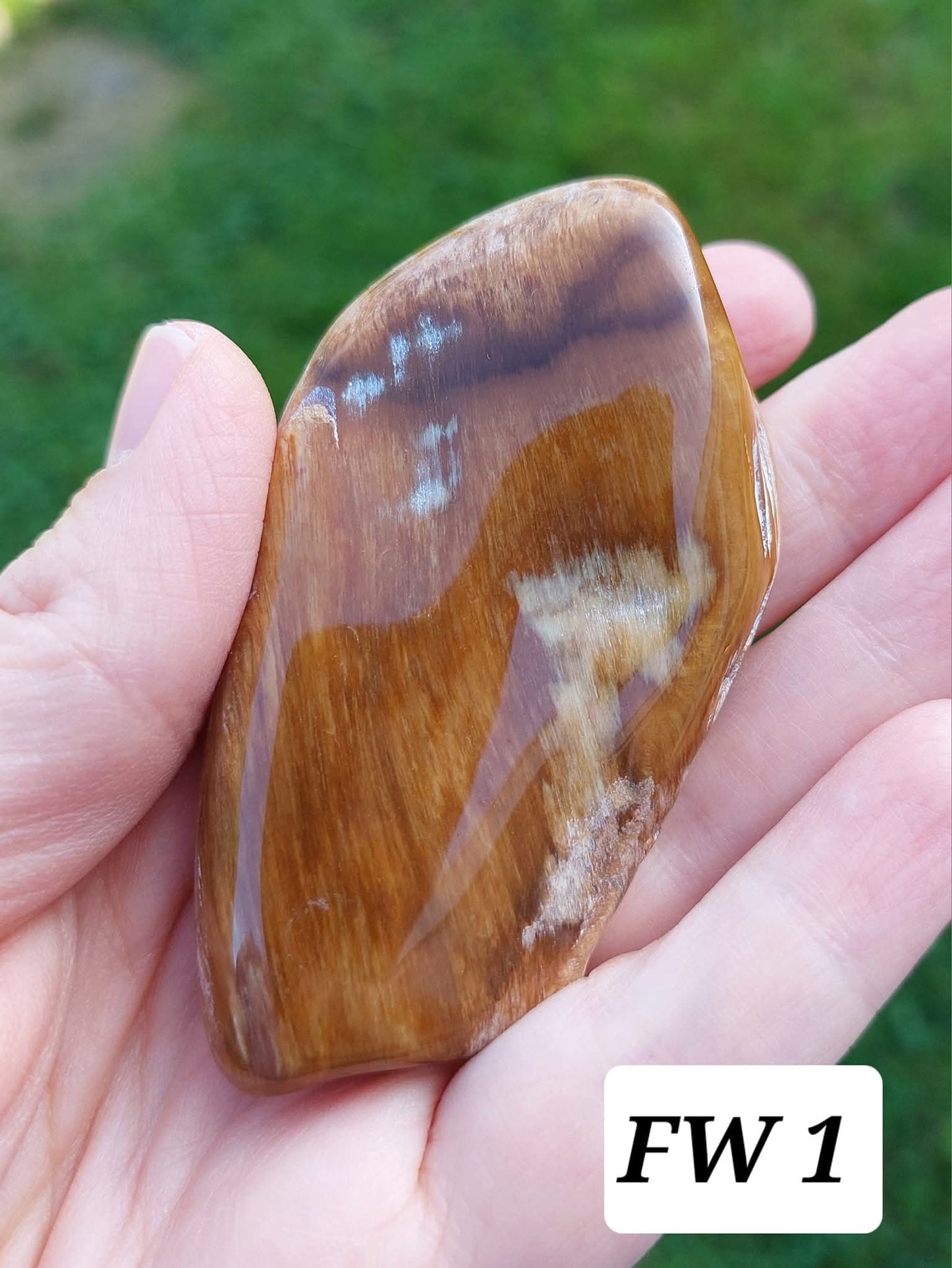 Fossilised Wood (polished), 74.86g, Fossil (Ref: FE1)