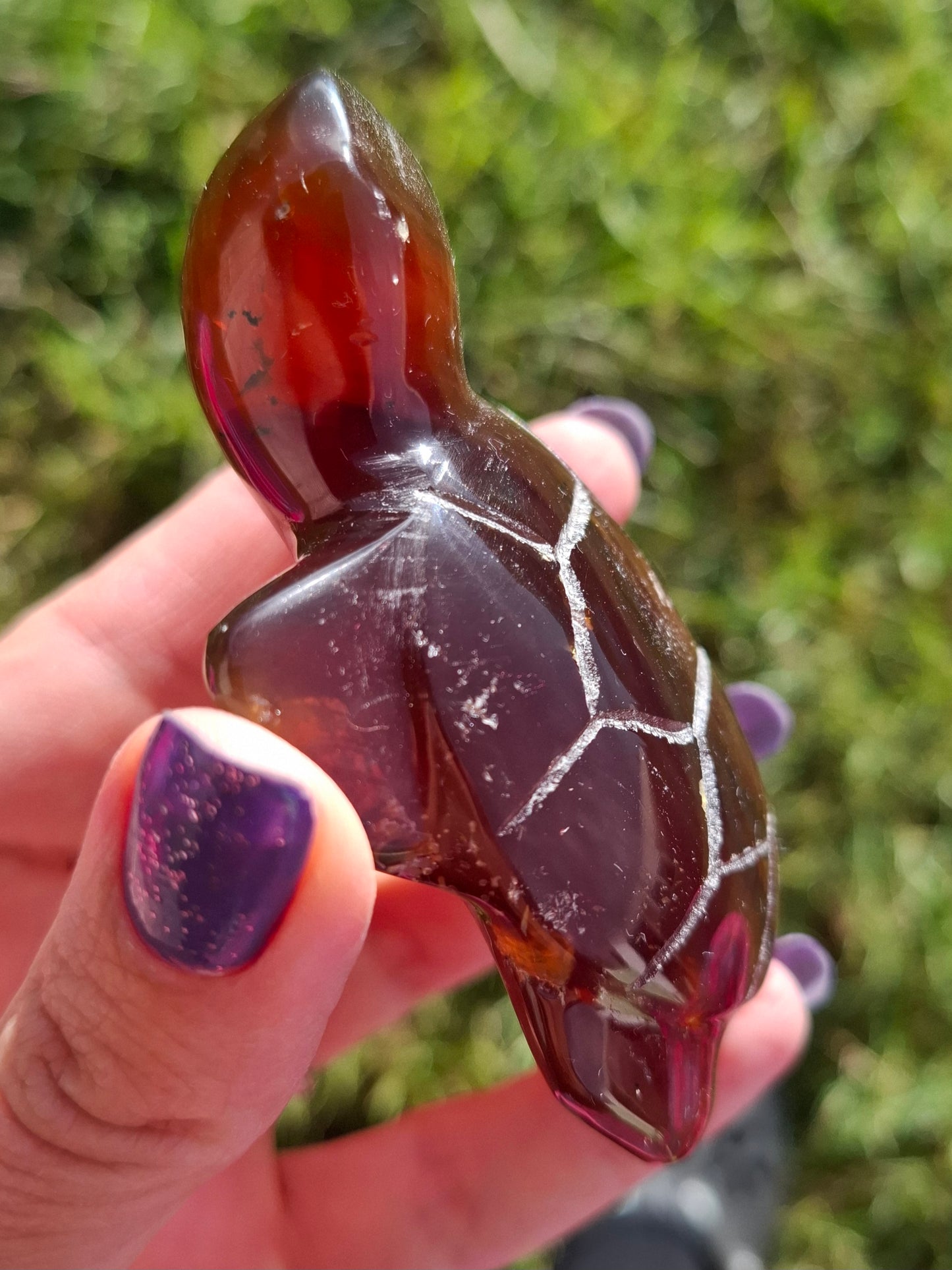 Red Amber Turtle, 49.15g, Carving, Fossil (Ref: TT1)