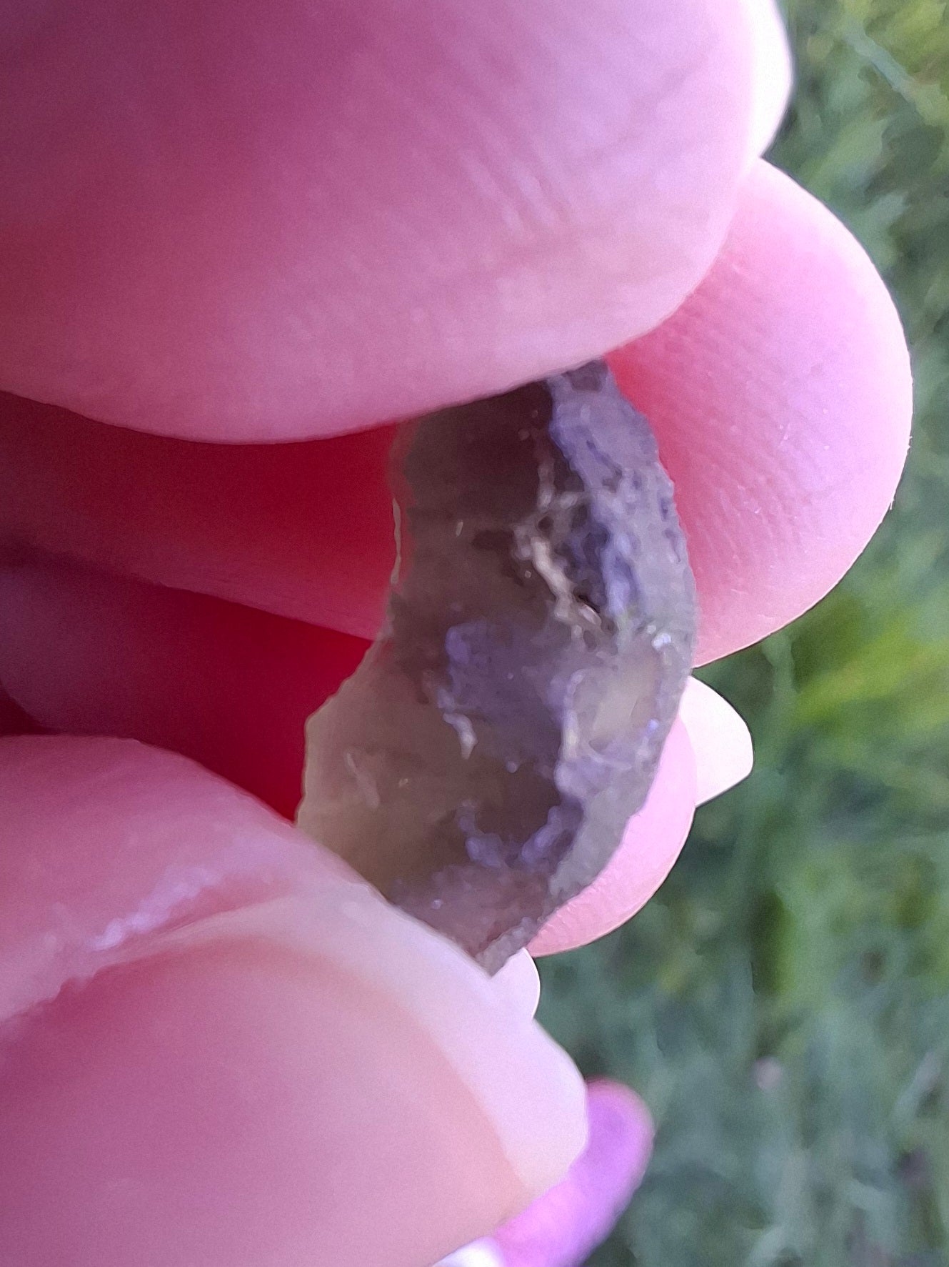 DRILLED, Moldavite Piece, 0.96g, Tektite (Ref: D27)