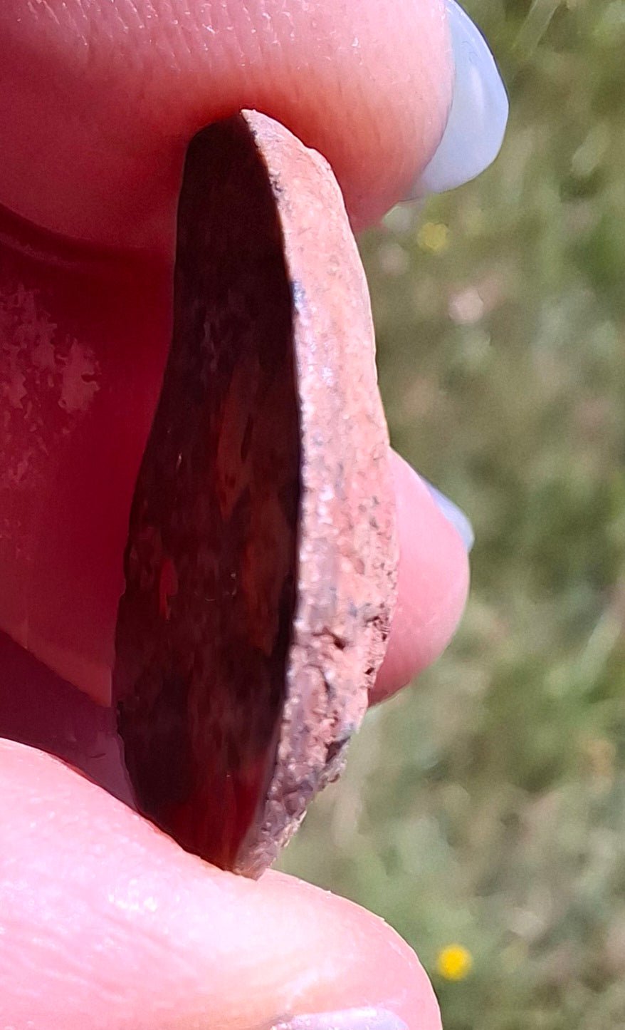 Small Haematite Ammonite HALF, 2.59g, Fossil (Ref: MA7)