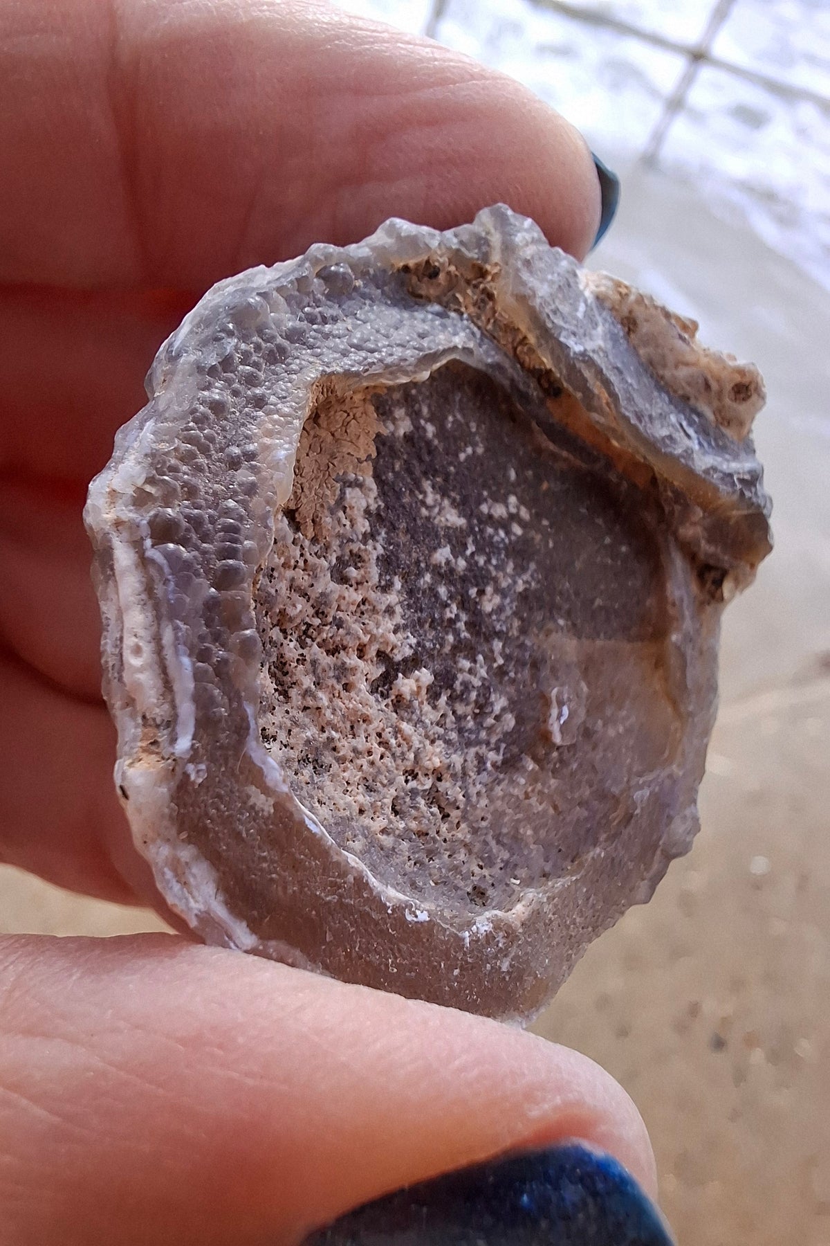 Chalcedony Oyster, Fossil (Ref: FO4)