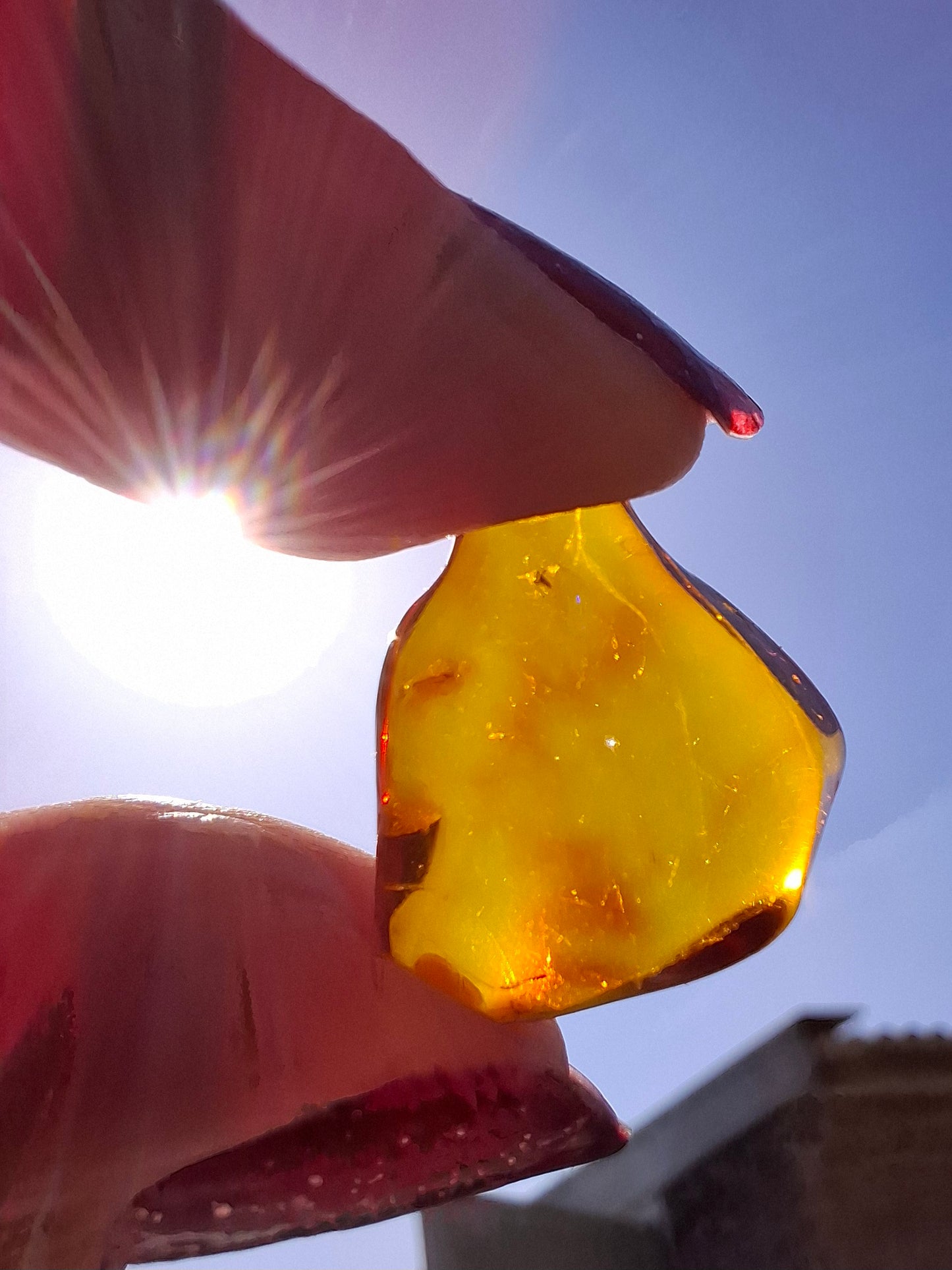 Baltic Amber, 0.88g, Fossil (Ref: A254)