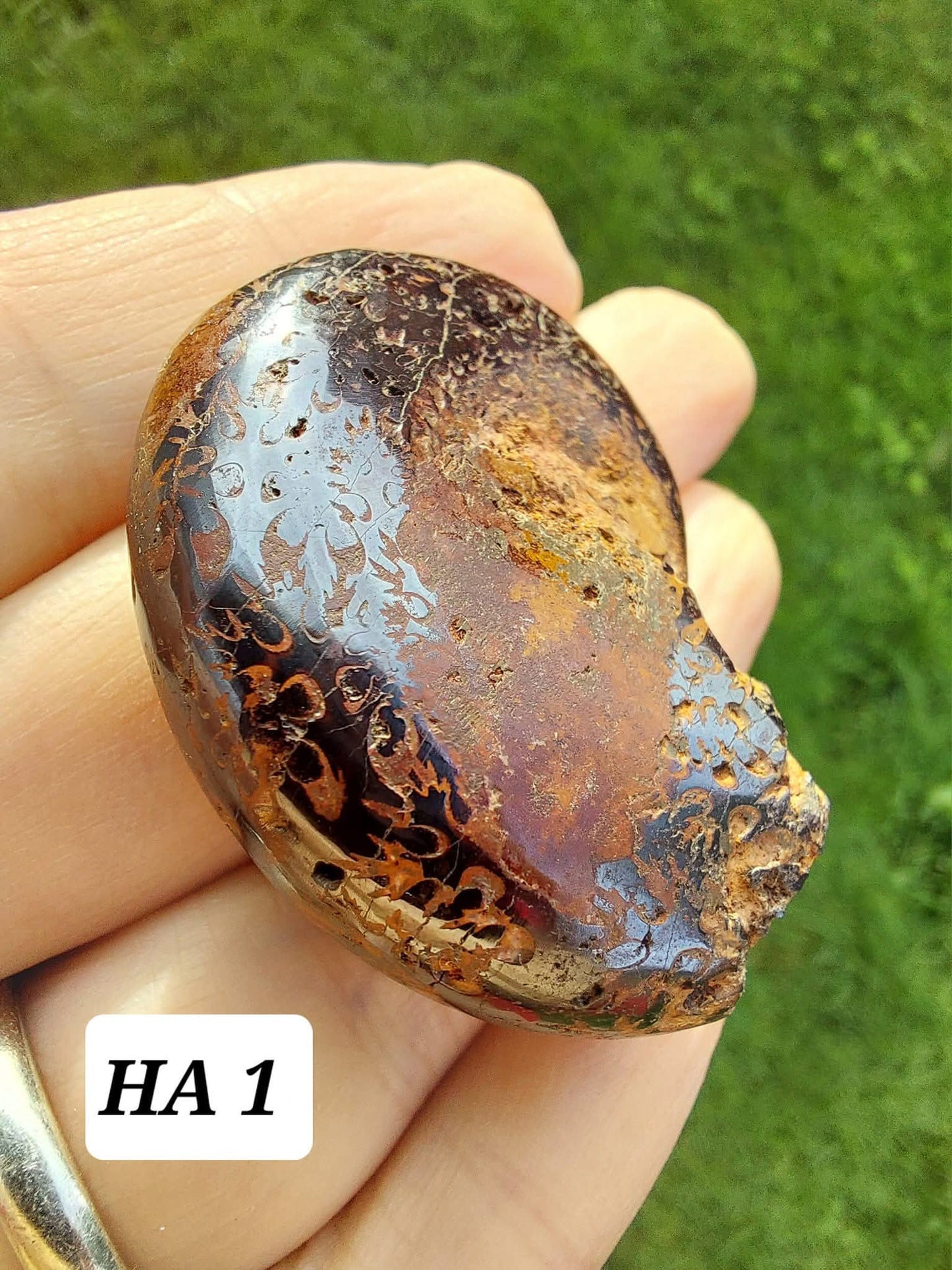 Hematite Ammonite, 21.29g, Fossil (Ref: HA1)