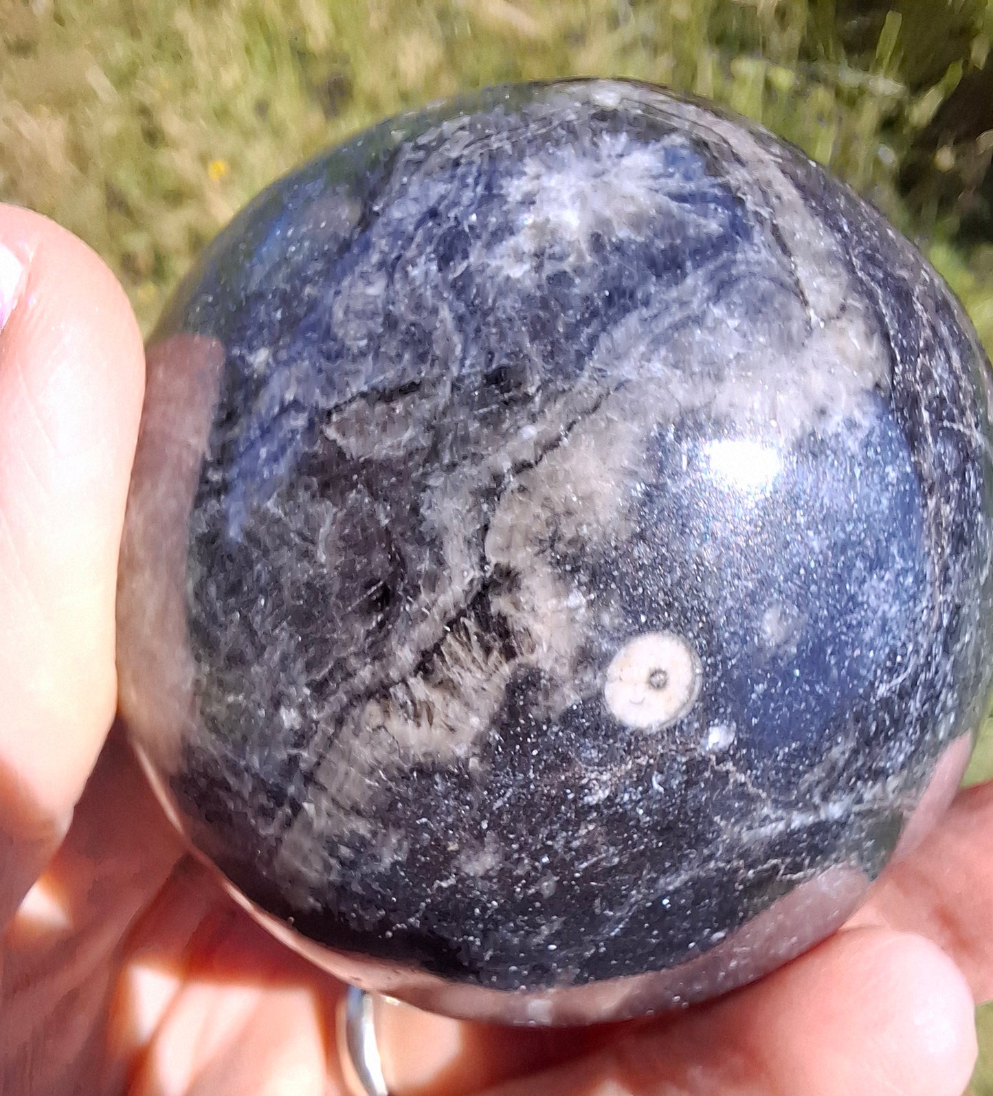 Orthoceras Sphere, Fossil (Ref: OS3)