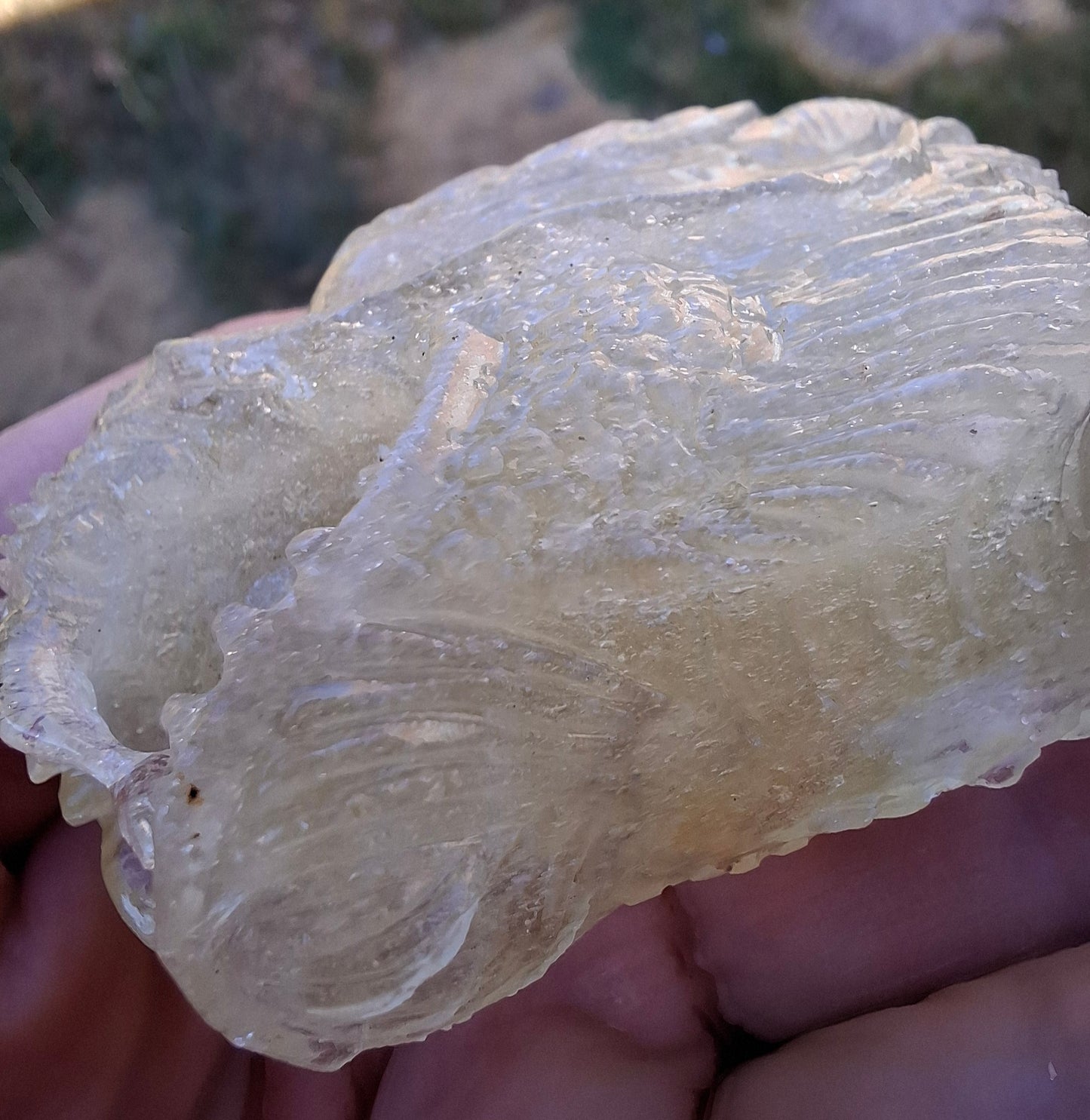 Libyan Desert Glass DRAGON HEAD Carving, 75.84g, Tektite (Ref: Dragon1)