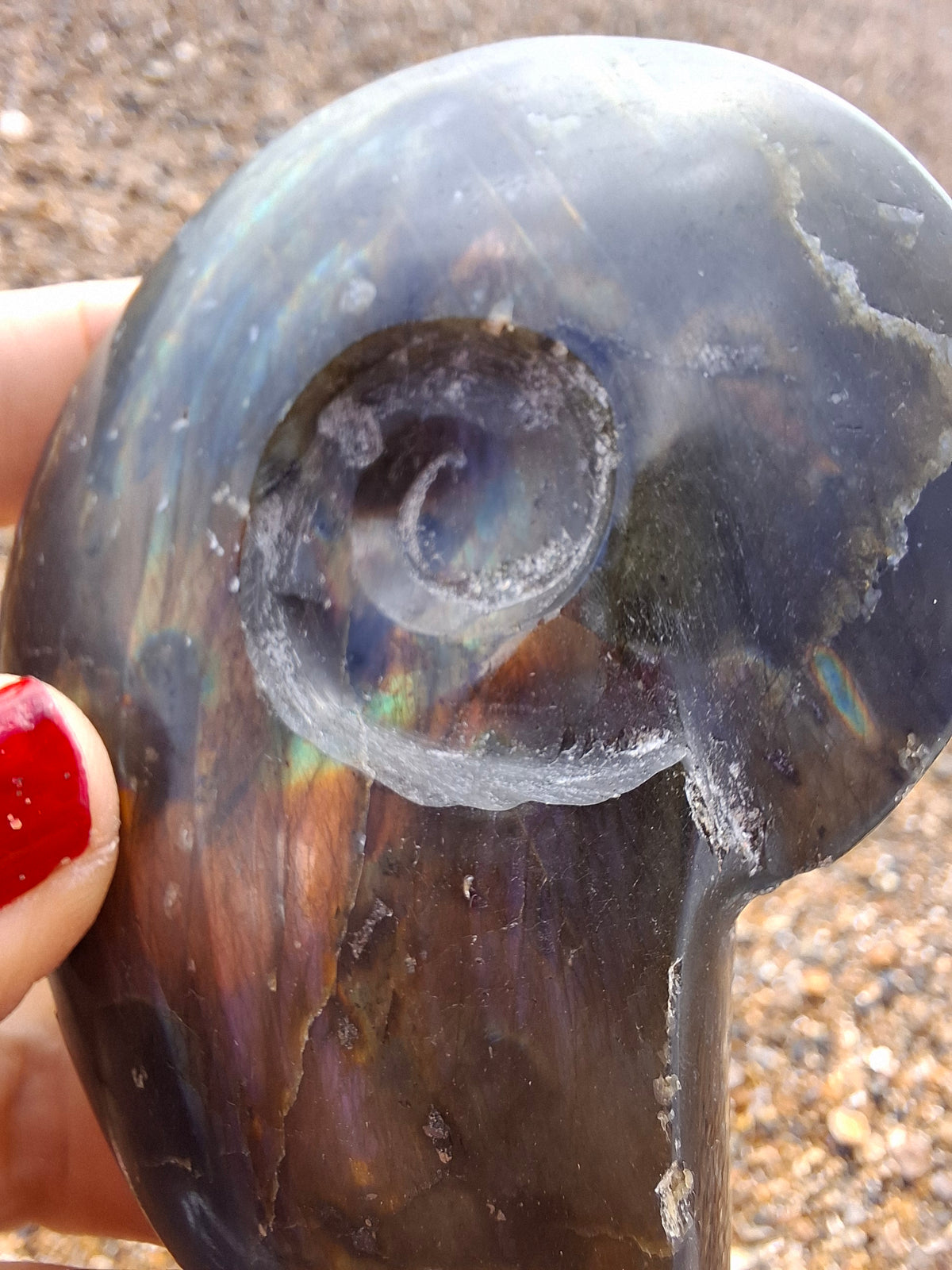 Labradorite Ammonite Carving, 160.21g, Crystal (Ref: laba4)