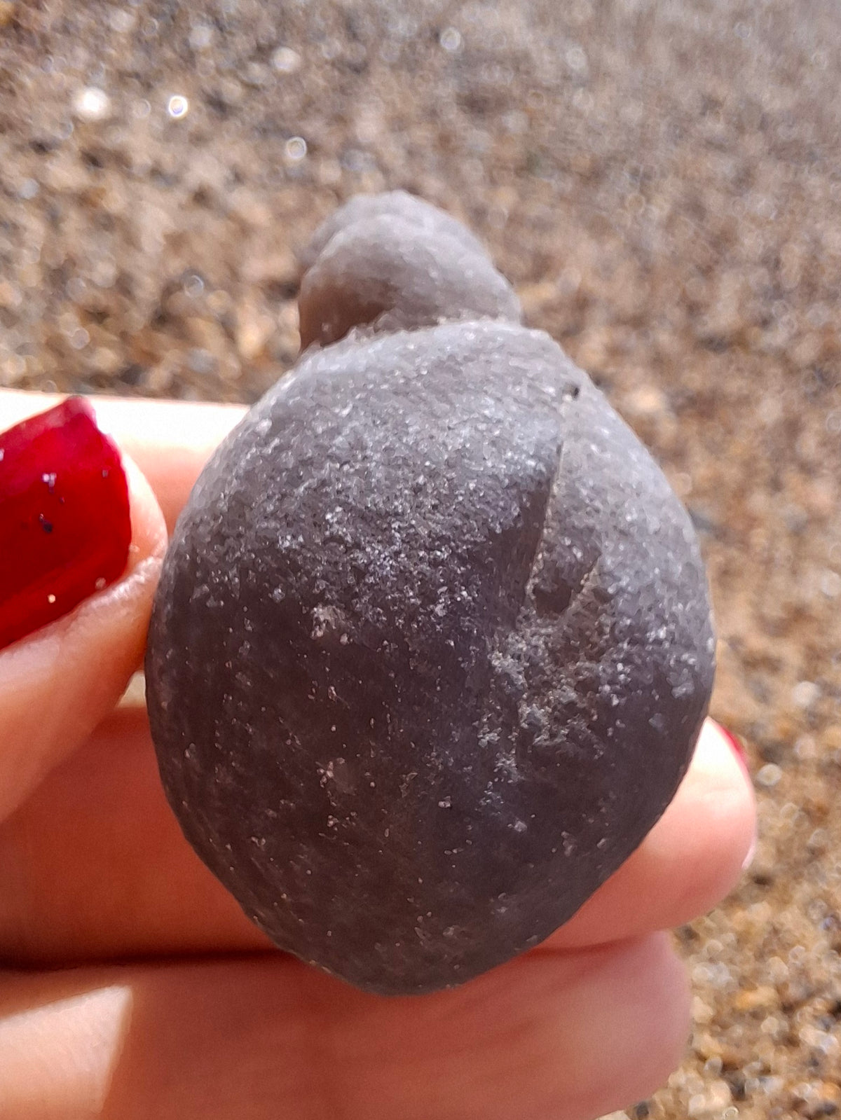 Nebula Chalcedony, 37.96g, Fossil (Ref: NC7)