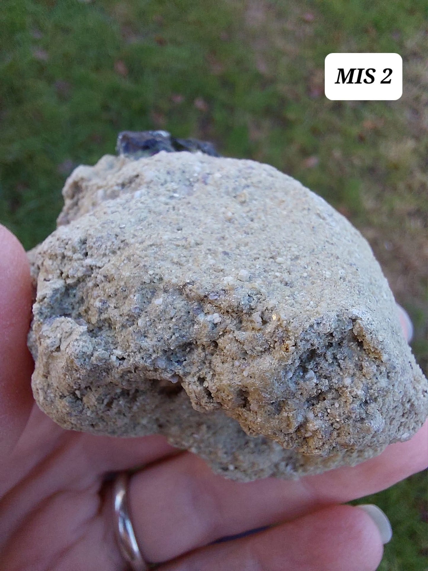Moldavite In-Situ (in matrix), Besednice, Est 3.5-4g, Tektite (Ref: MIS2)