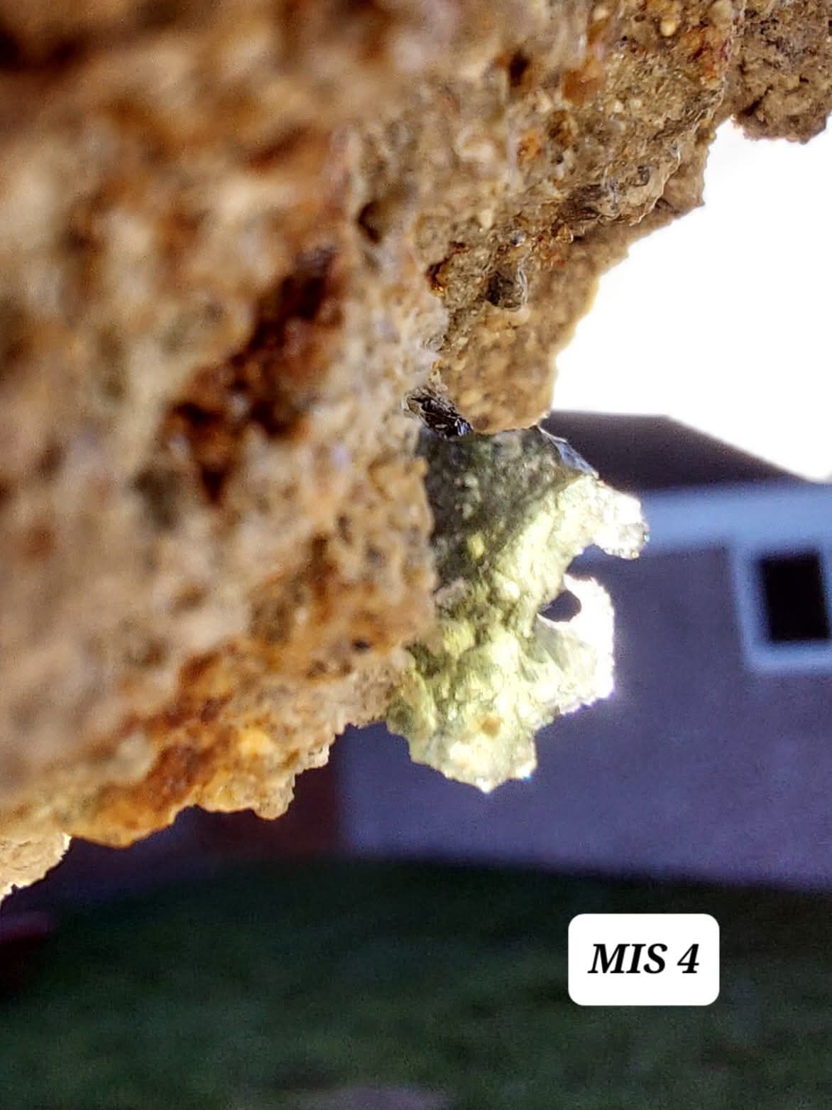 Moldavite In-Situ (in matrix), Besednice, Est- 2g, Tektite (Ref: MIS4)