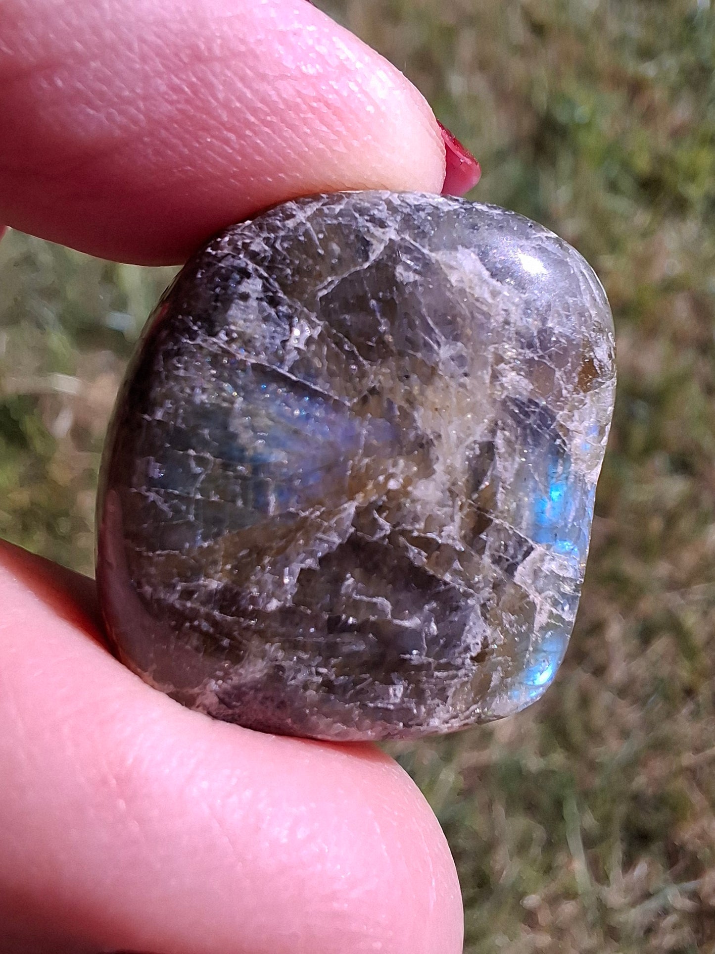 Labradorite, Tumble Stone, Crystal (Ref: T211)