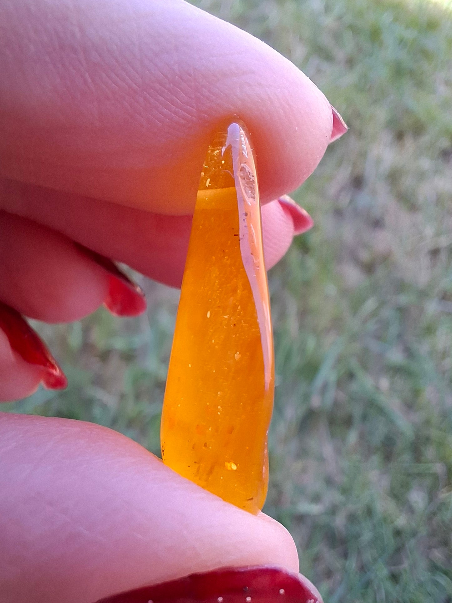 Baltic Amber, 1.55g, Fossil (Ref: A219)