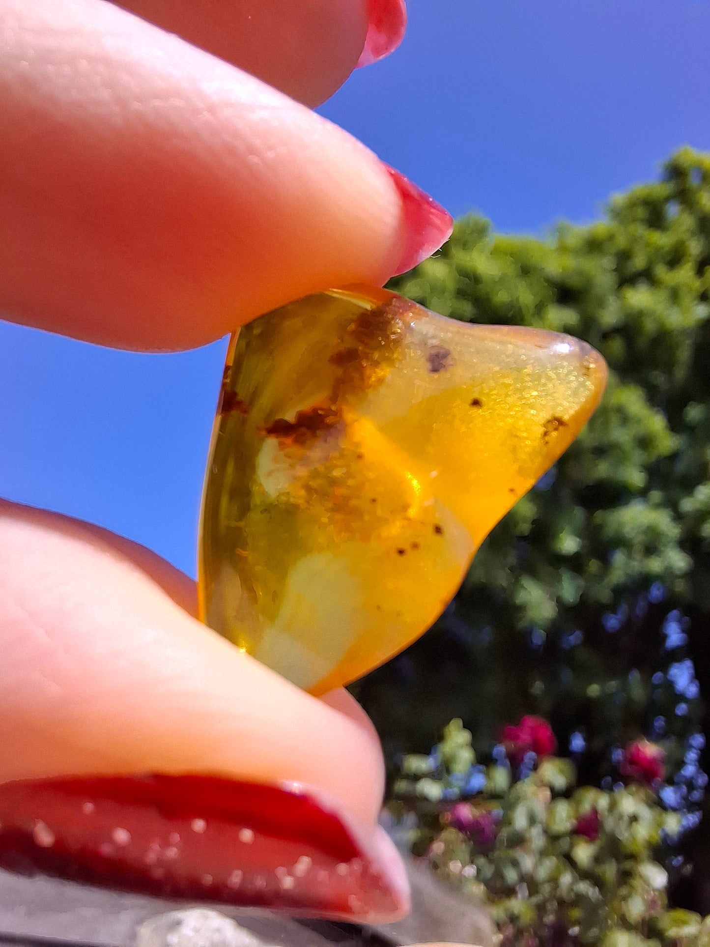 Baltic Amber, 0.91g, Fossil (Ref: A240)