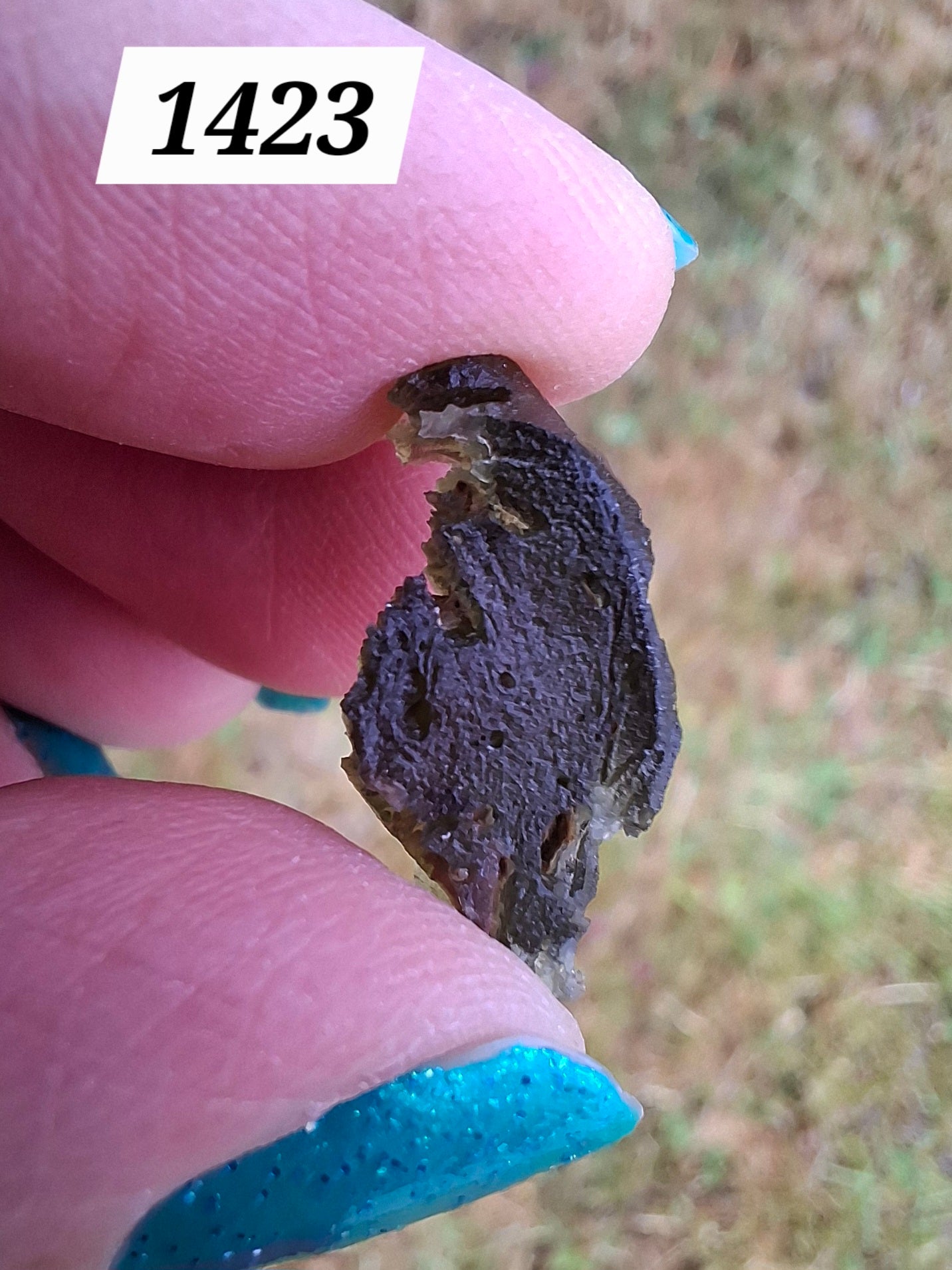 Moldavite Piece, 1.67g, Tektite (Ref: 1423)