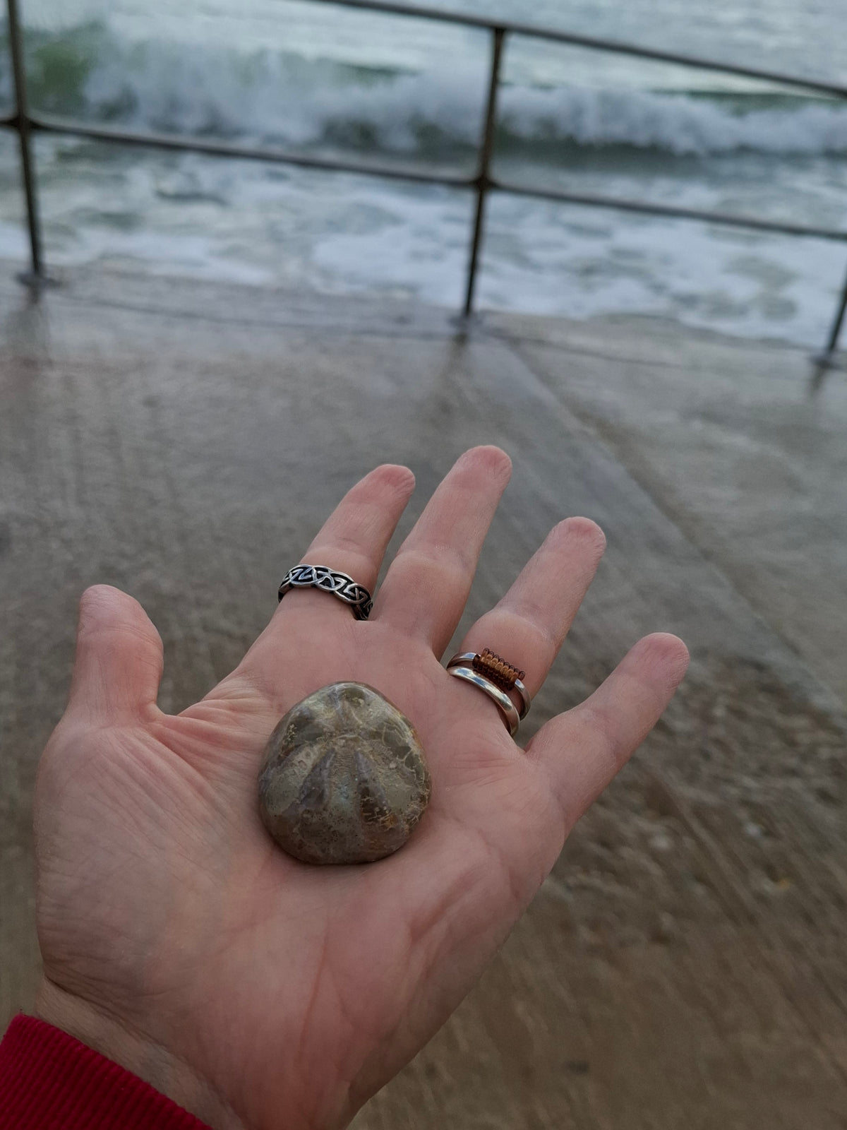 Polished Sea Urchin, Fossil (Ref: SU5)