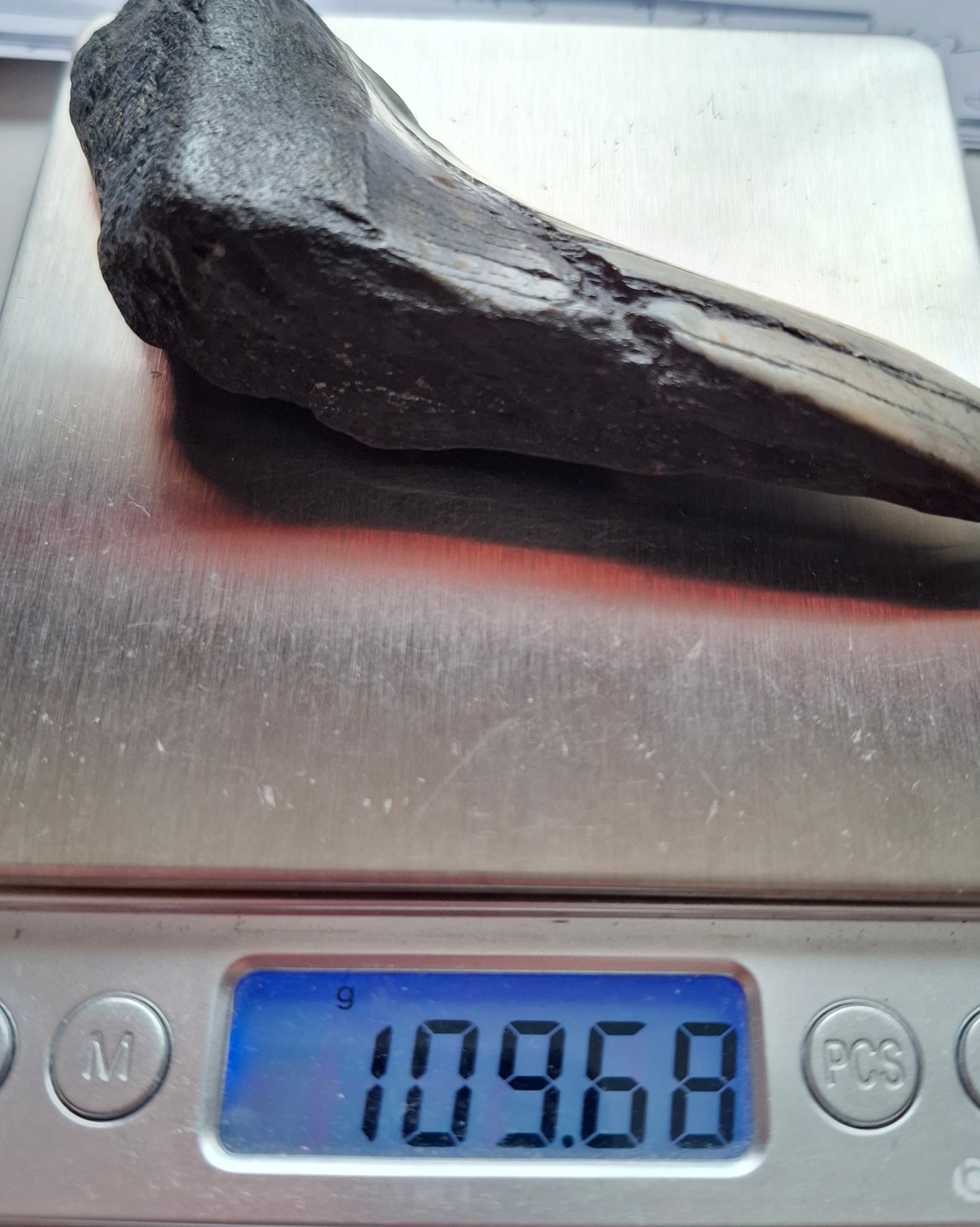 Megalodon (partial) Shark Tooth, 109.68g, Fossil (Ref: Meg1)