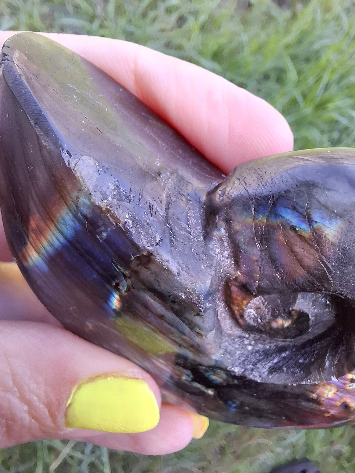 Labradorite Ammonite Carving, 153.97g, Crystal (Ref: laba2)
