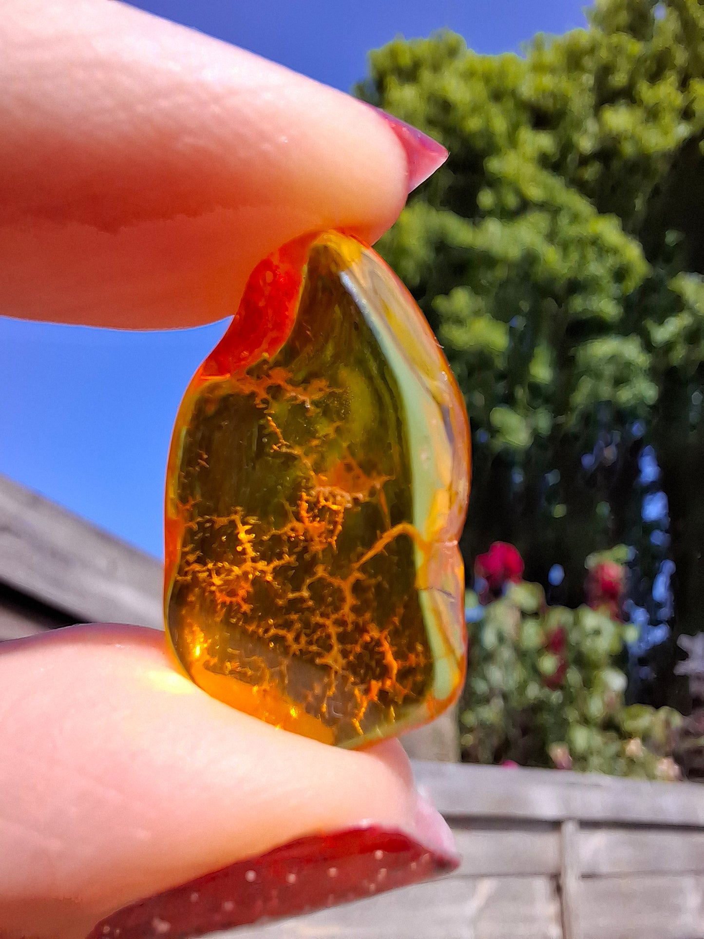 Baltic Amber, 1.16g, Fossil (Ref: A126)