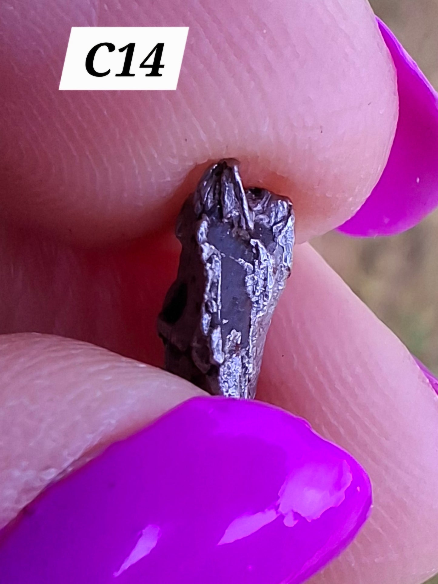 Campo del Cielo, 1.11g, Nickel Iron Meteorite (Ref: C14)