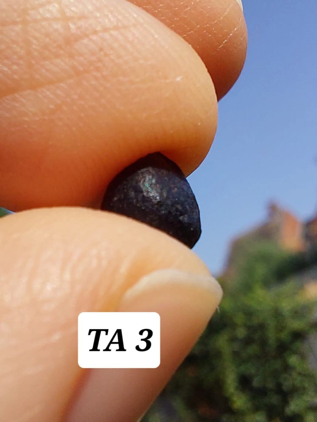 Atacamite, 0.37g, Tektite (Ref: TA3)