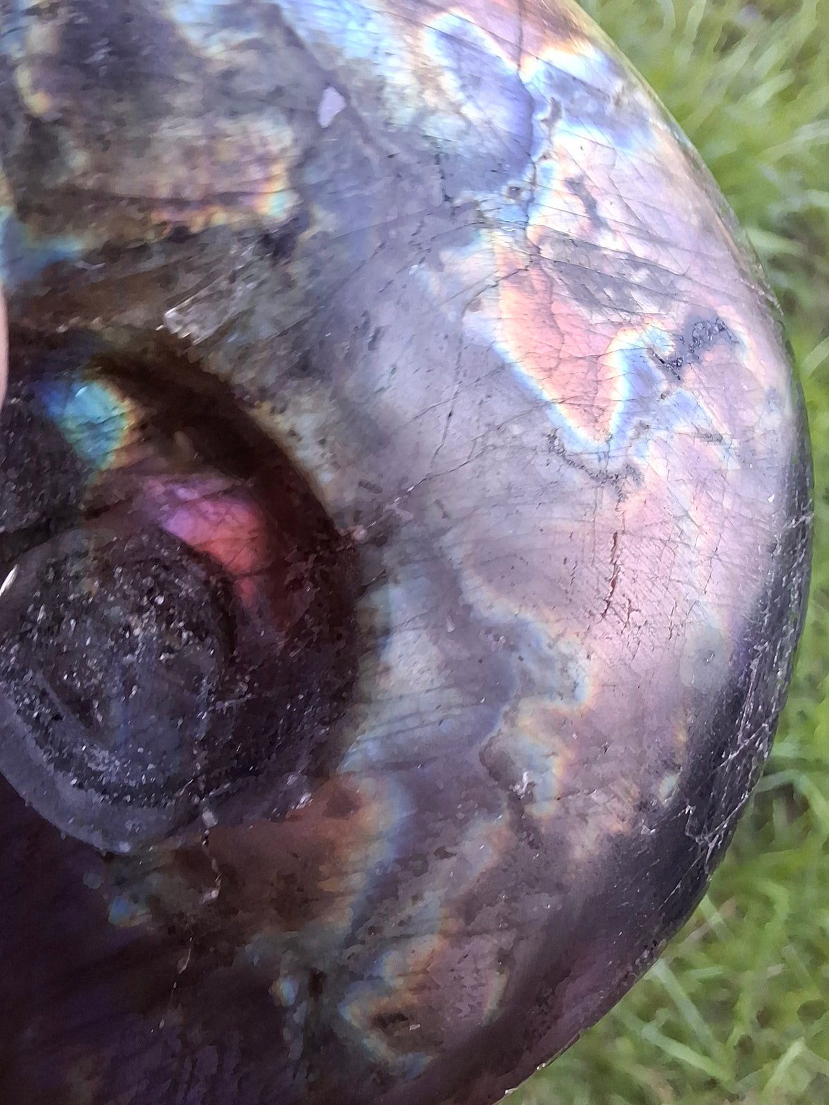 Labradorite Ammonite Carving, 89.31g, Crystal (Ref: laba6)